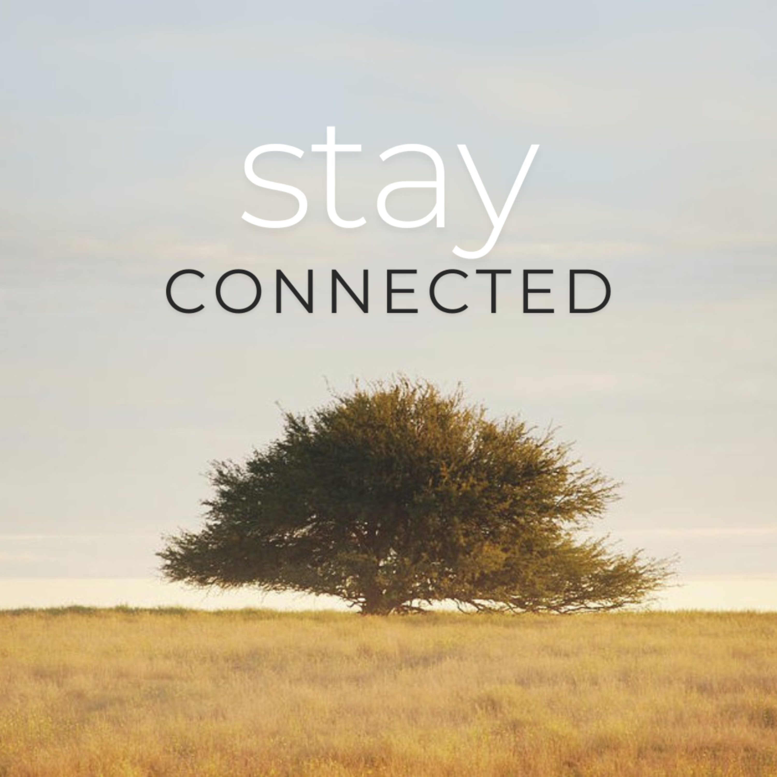 Stay Connected episode artwork