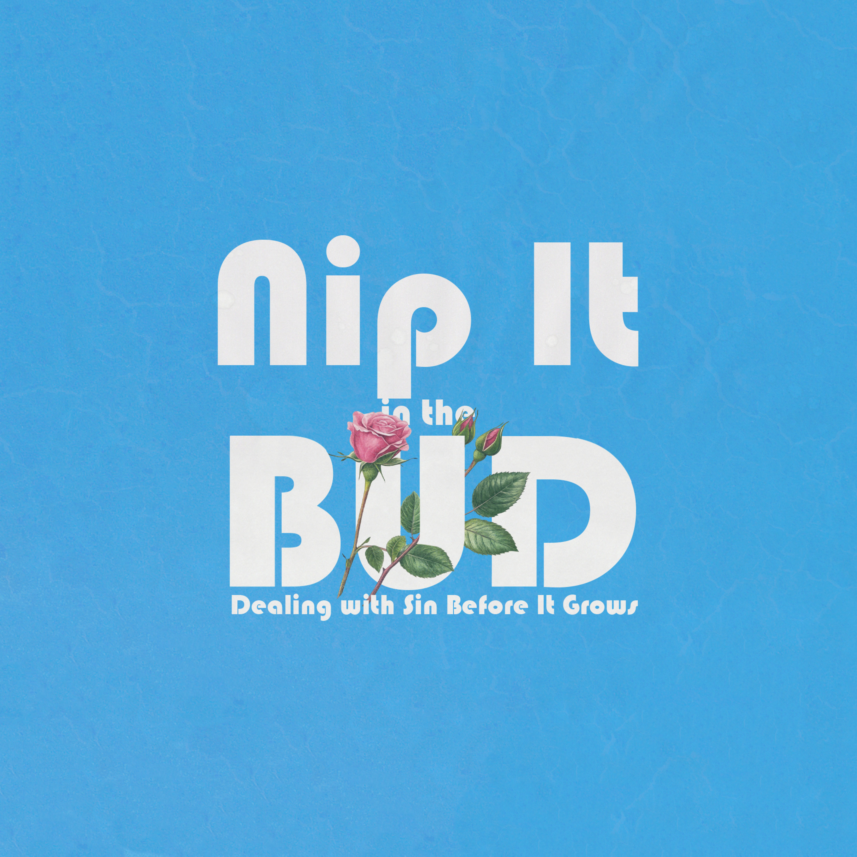 Nip It In the Bud: Dealing with Sin Before It Grows episode artwork