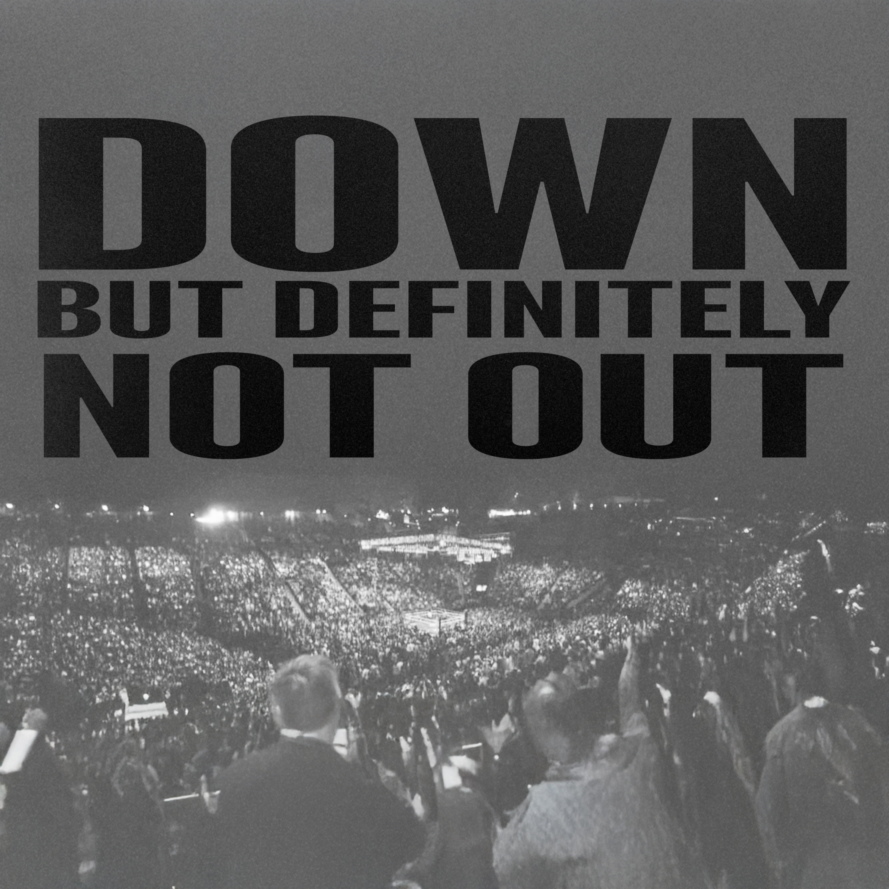 Down But Definitely Not Out episode artwork