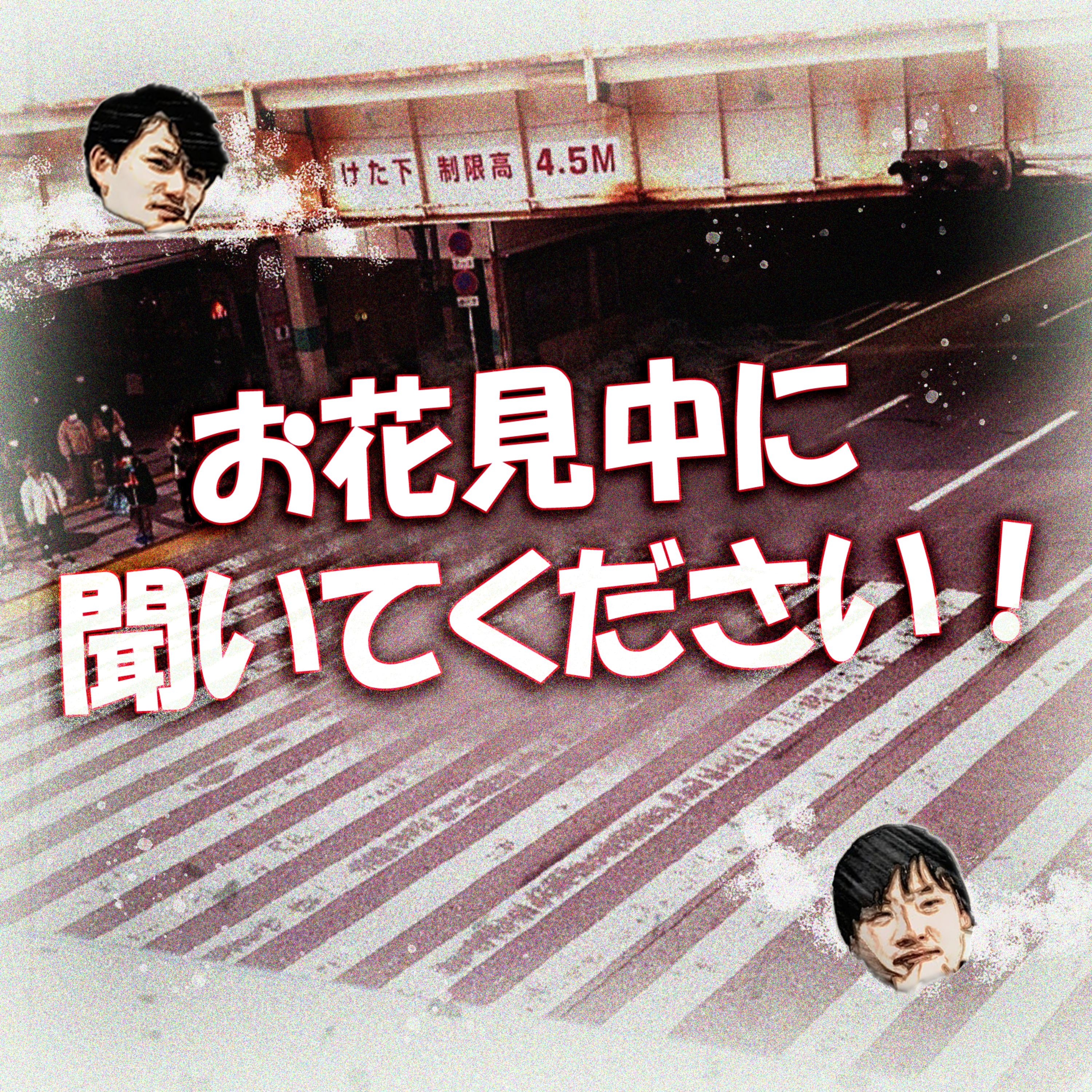 お花見中に聞いてください！ episode artwork