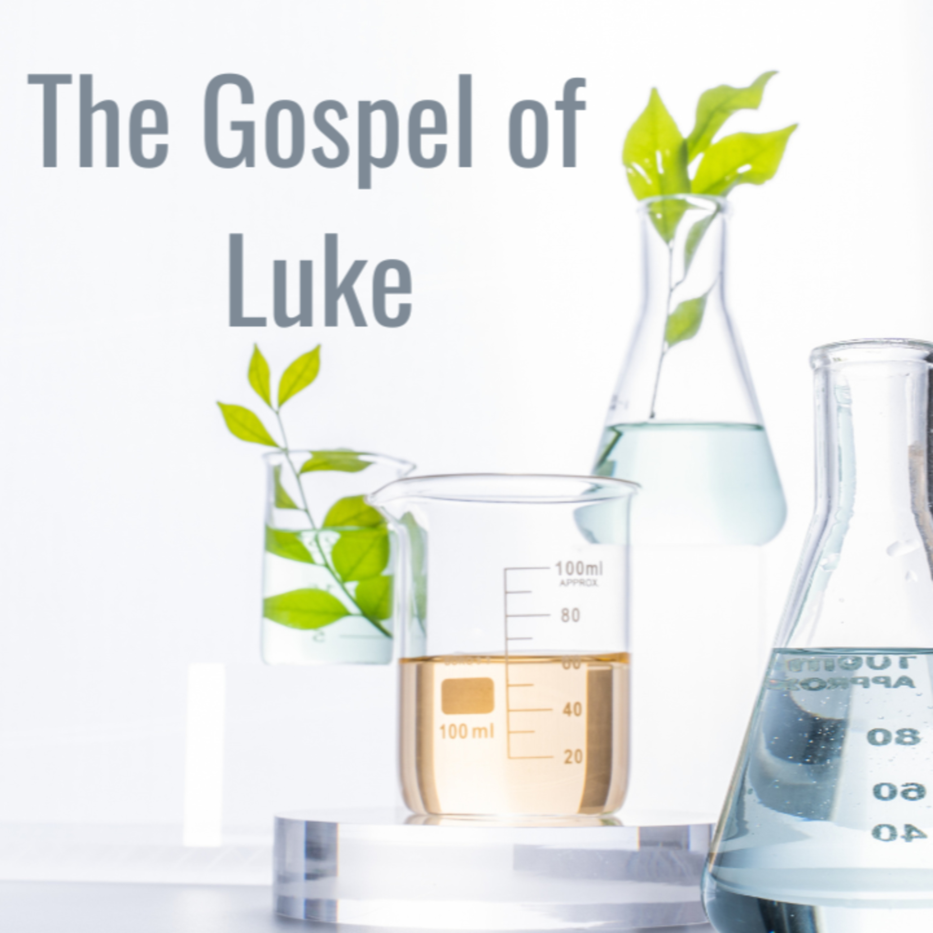 Reasons for Confidence in the Bodily Resurrection of Jesus episode artwork