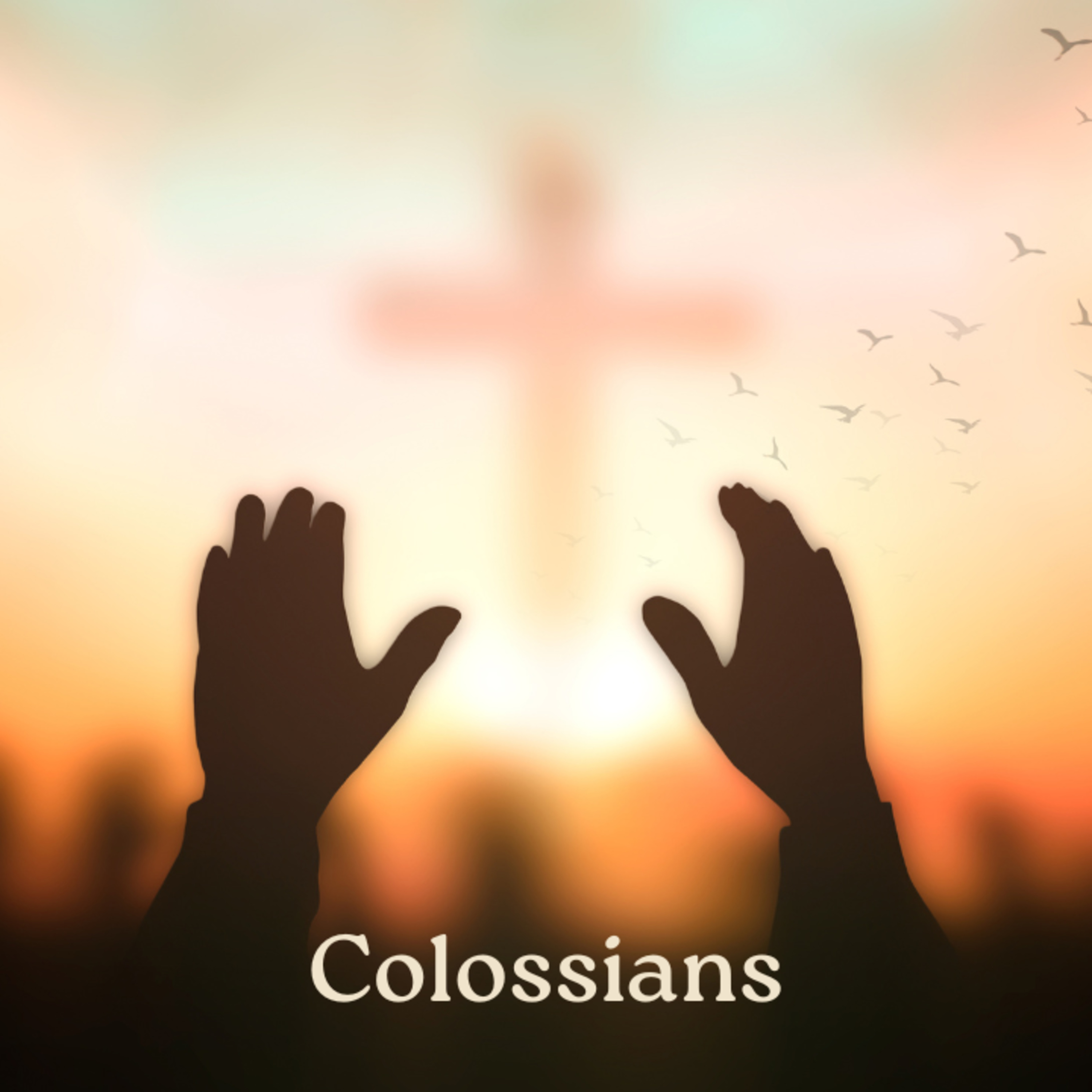 True Encouragement episode artwork