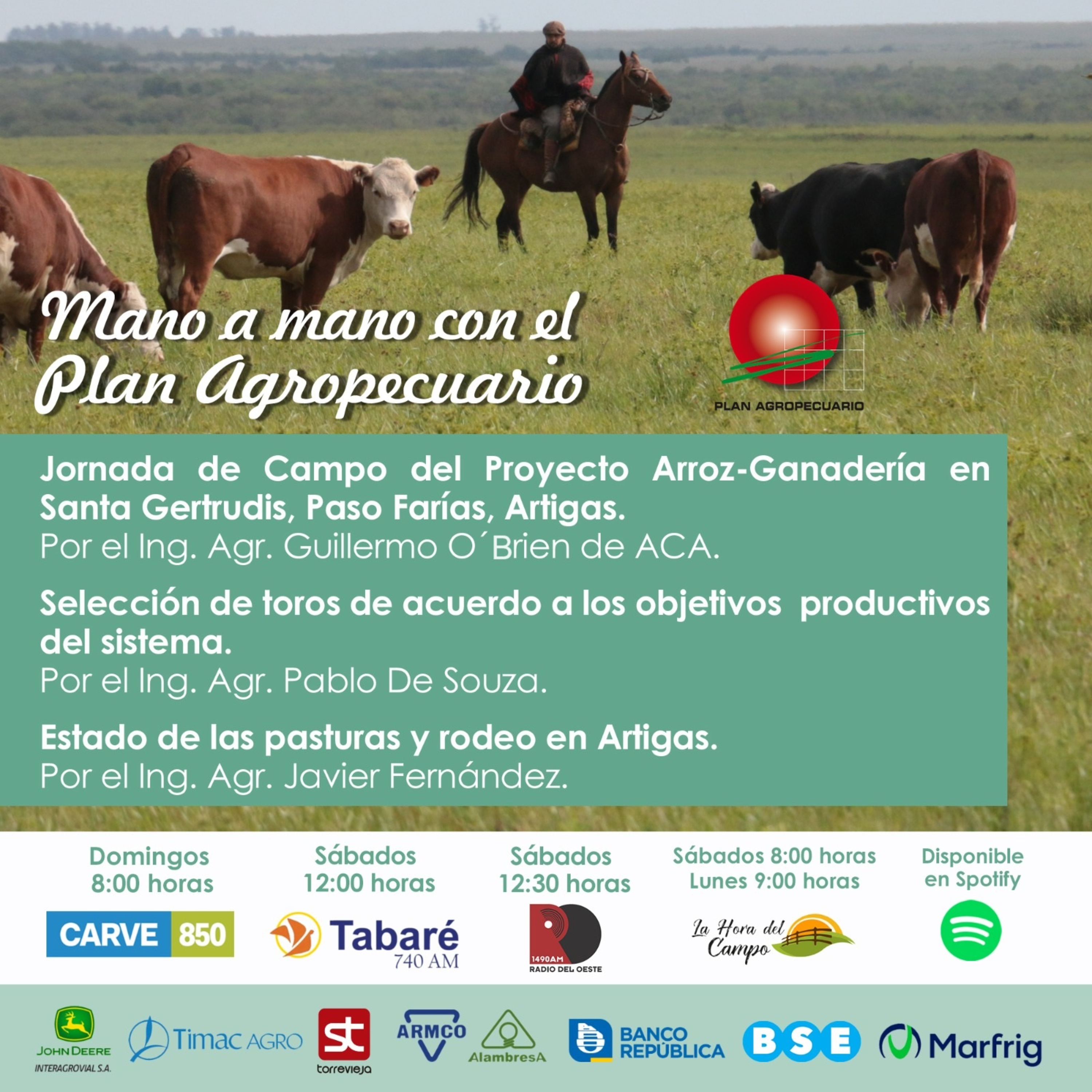 Arroz - Ganadería en Artigas. Selección de toros. Pasturas y rodeo.