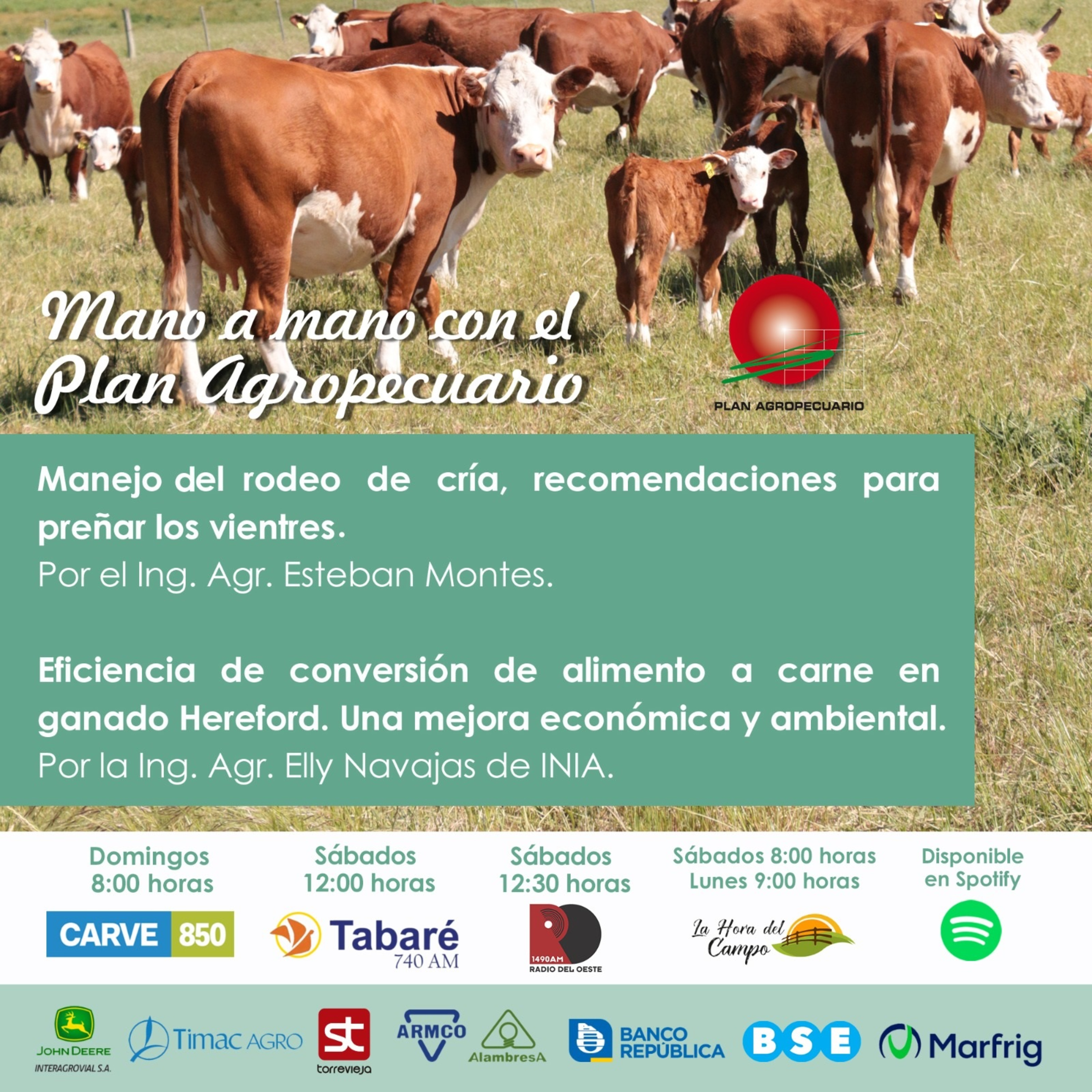 Rodeo de cría, recomendaciones para preñar. Conversión de alimento a carne.