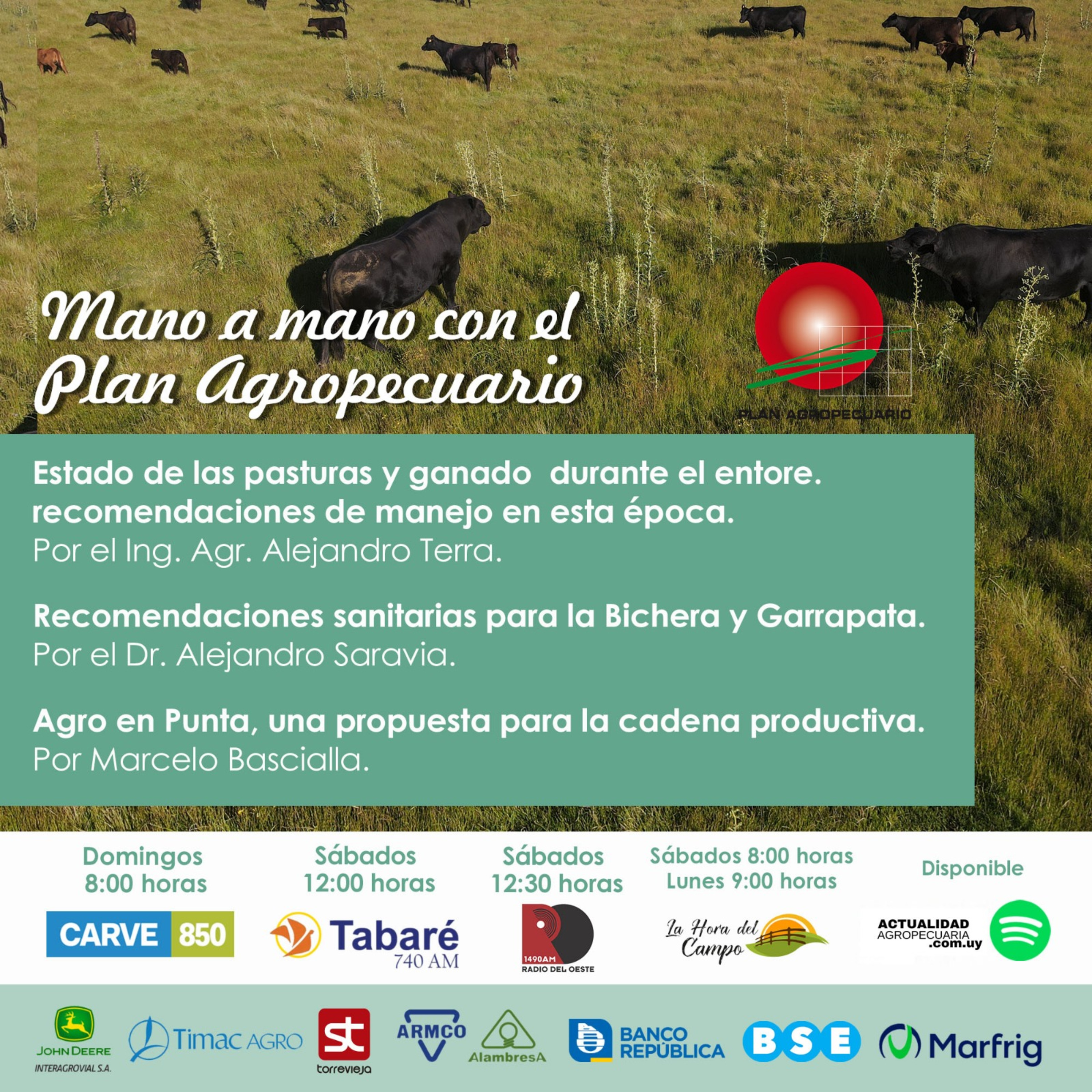 Pasturas, ganado y entore, recomendaciones, Bichera y garrapata. Agro en Punta.