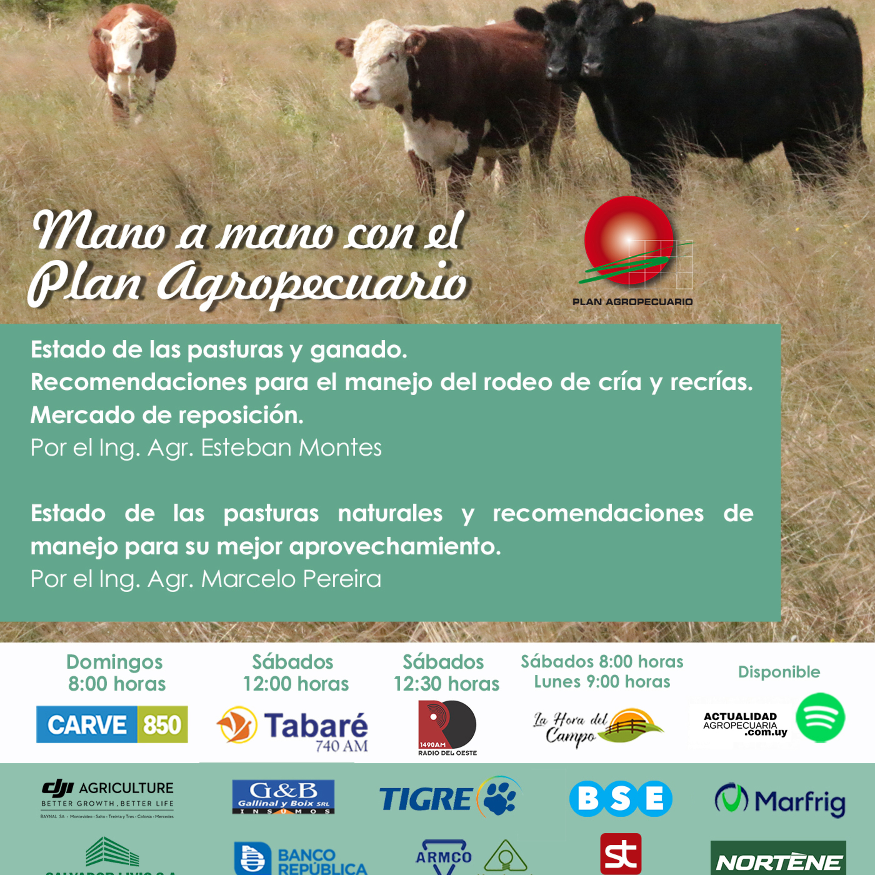Pasturas y ganado. Cría y recría. Mercado. Pasturas naturales...