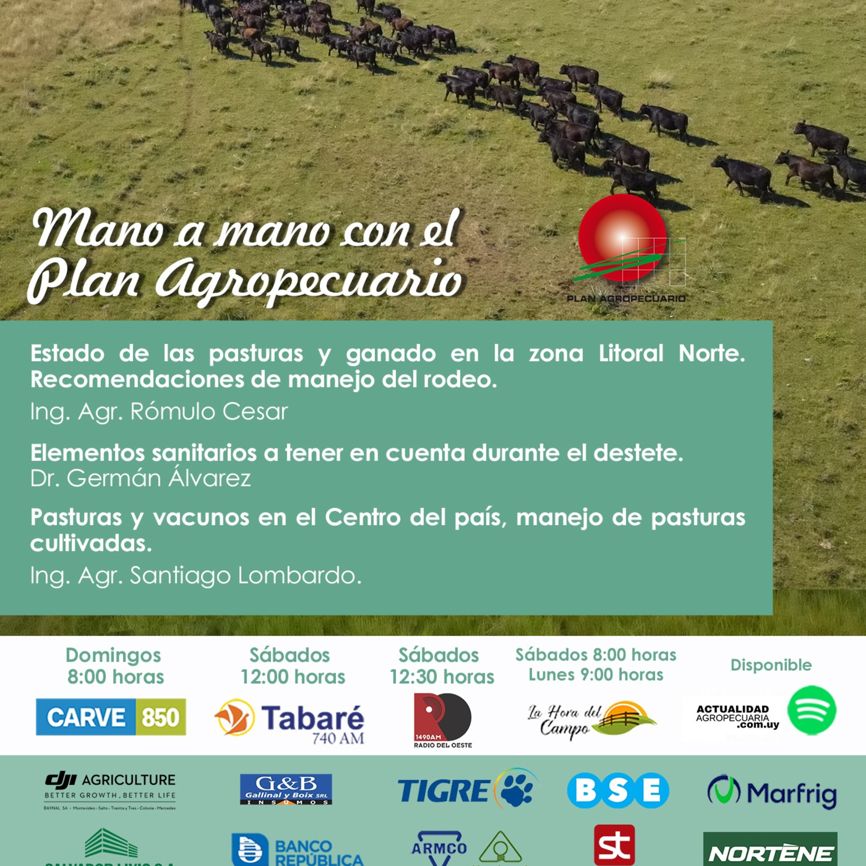 Pasturas y ganado, zona Litoral Norte y Centro del país. Sanidad en el destete.