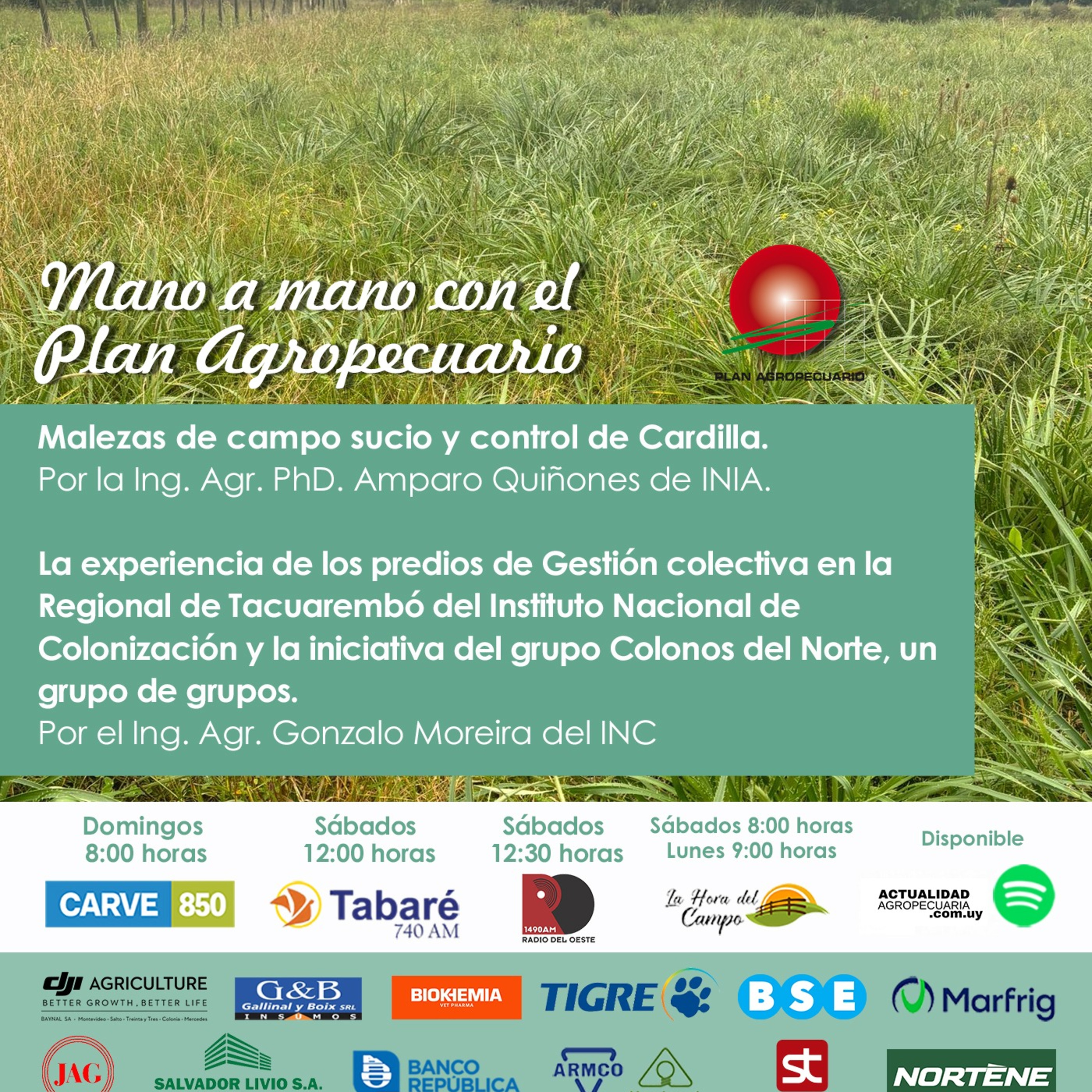 Malezas de campo sucio y control de Cardilla. Experiencia gestión colectiva y grupo Colonos.