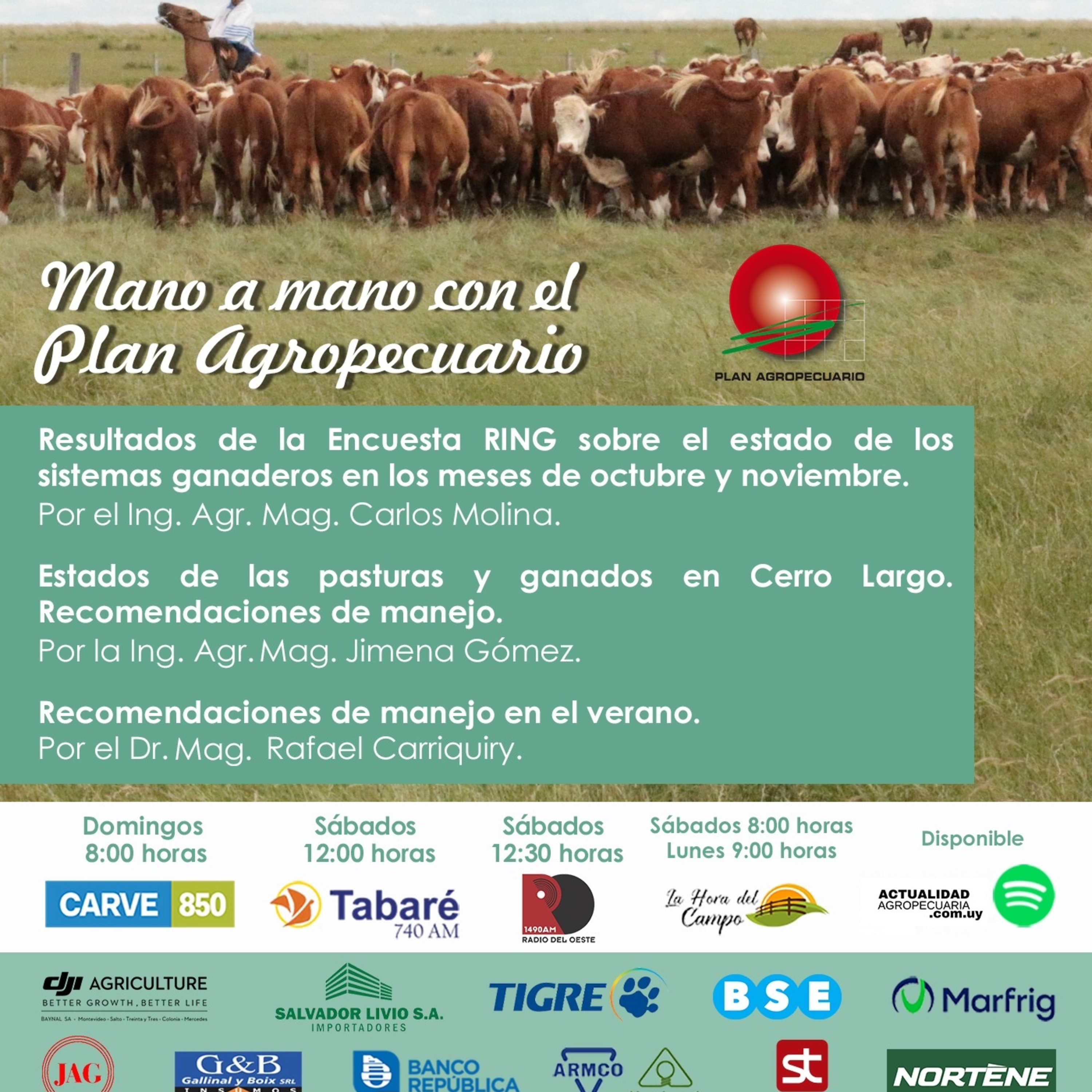 Resultados de la Encuesta RING, sistemas ganaderos. Pasturas, ganado Cerro Largo. Recomendaciones de manejo para el verano.