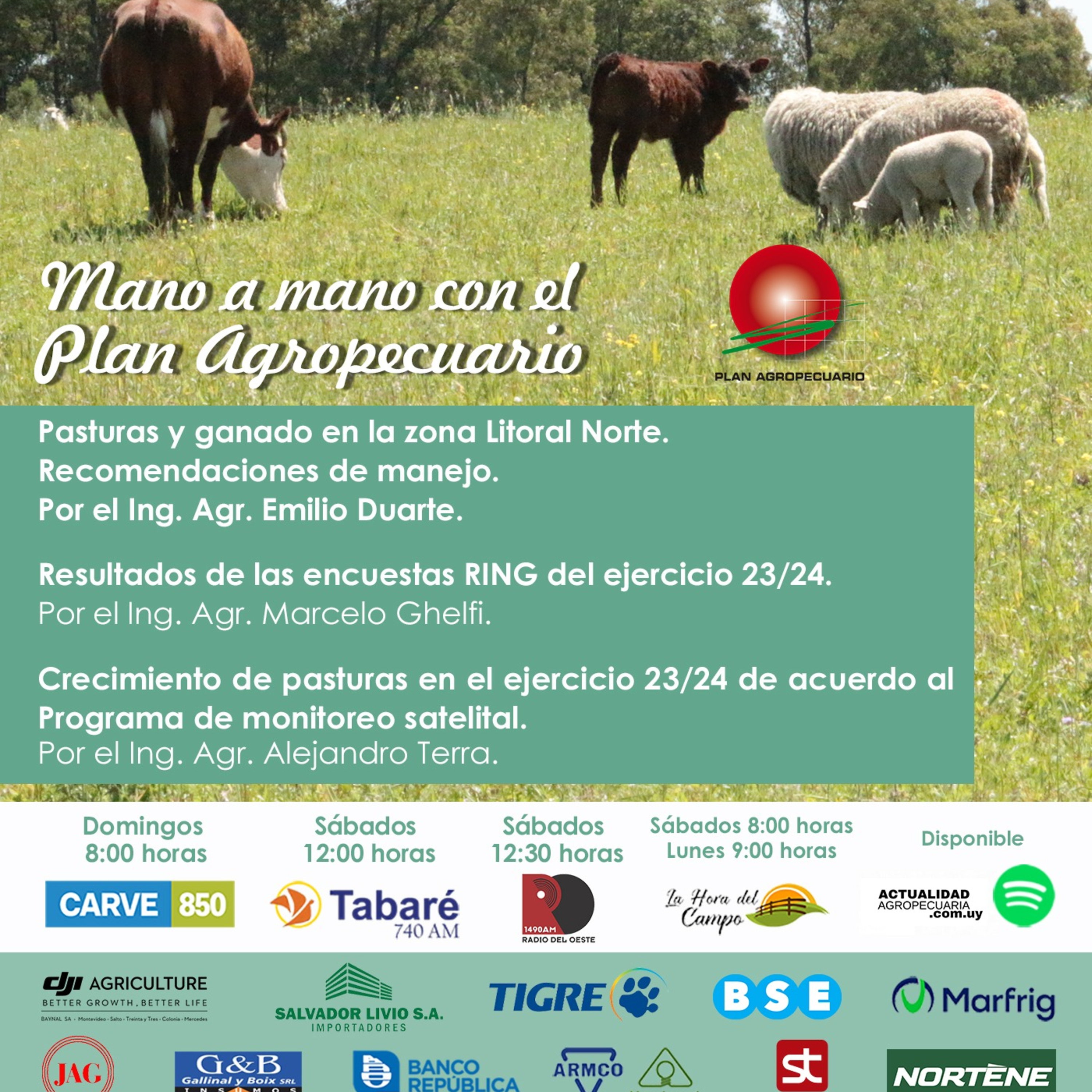 Pasturas y ganado, recomendaciones, manejo. Ejercicio 23/24 Productores Asociados - Encuesta RING, seguimiento forrajero.