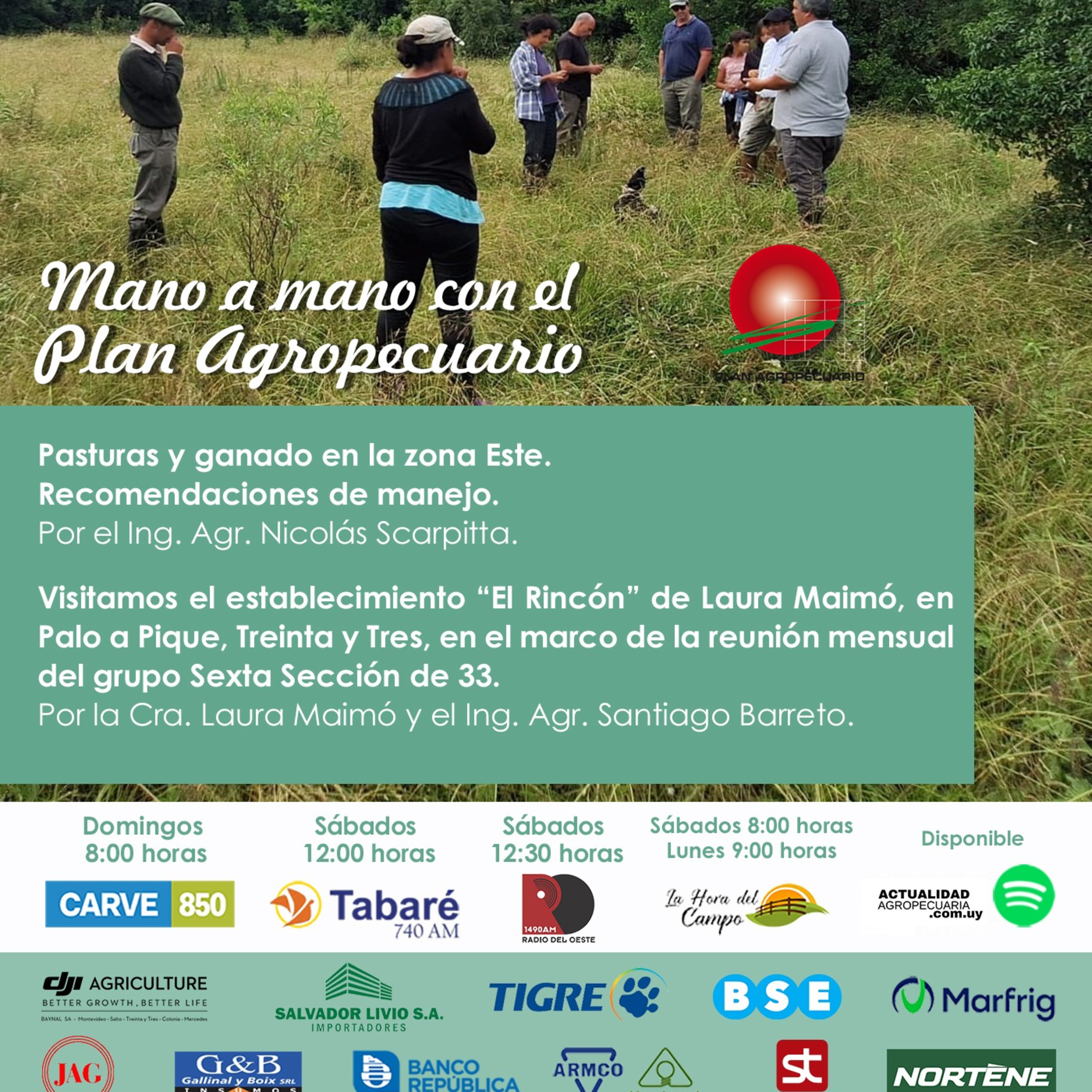 Pasturas y ganado, recomendaciones zona Este. Visitamos establecimiento en Treinta y Tres, Grupos Plan.