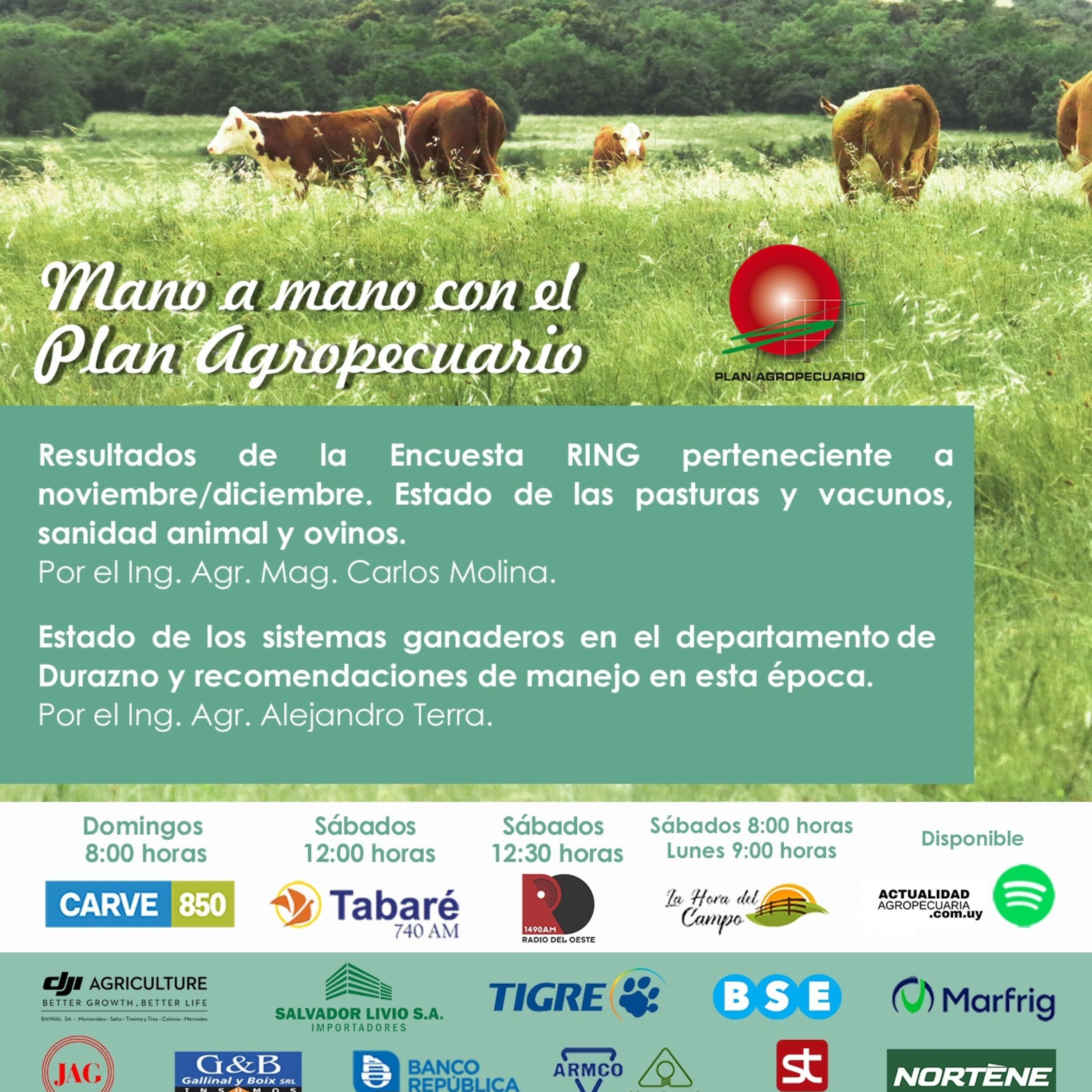 Resultados Encuesta RING, pasturas, vacunos, sanidad animal y ovinos. Sistemas ganaderos en Durazno, recomendaciones.
