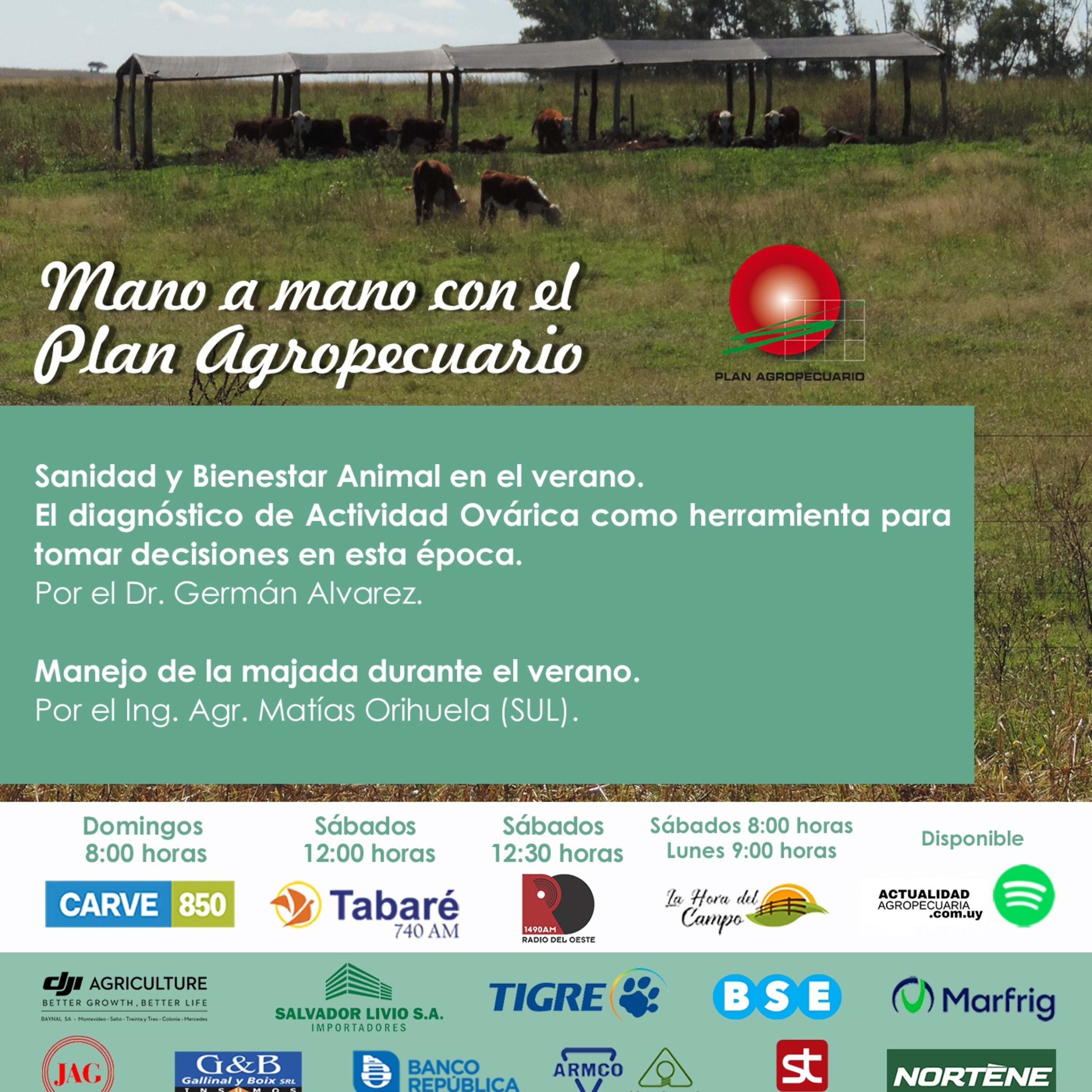 Sanidad y Bienestar Animal en el verano. Diagnóstico de Actividad Ovárica. Manejo de la majada.
