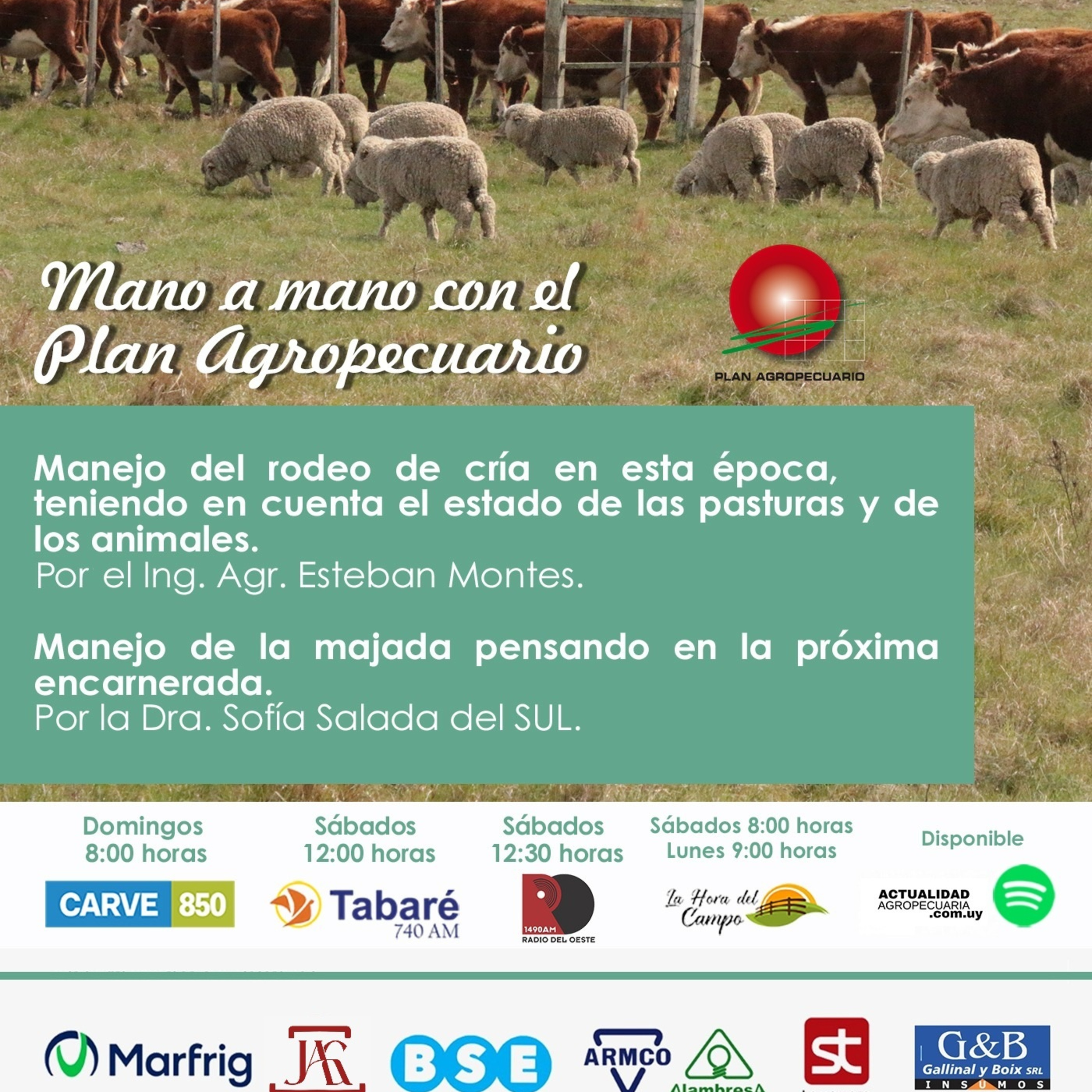 Manejo del rodeo de cría - Pasturas/ animales. Manejo de la majada - Encarnerada