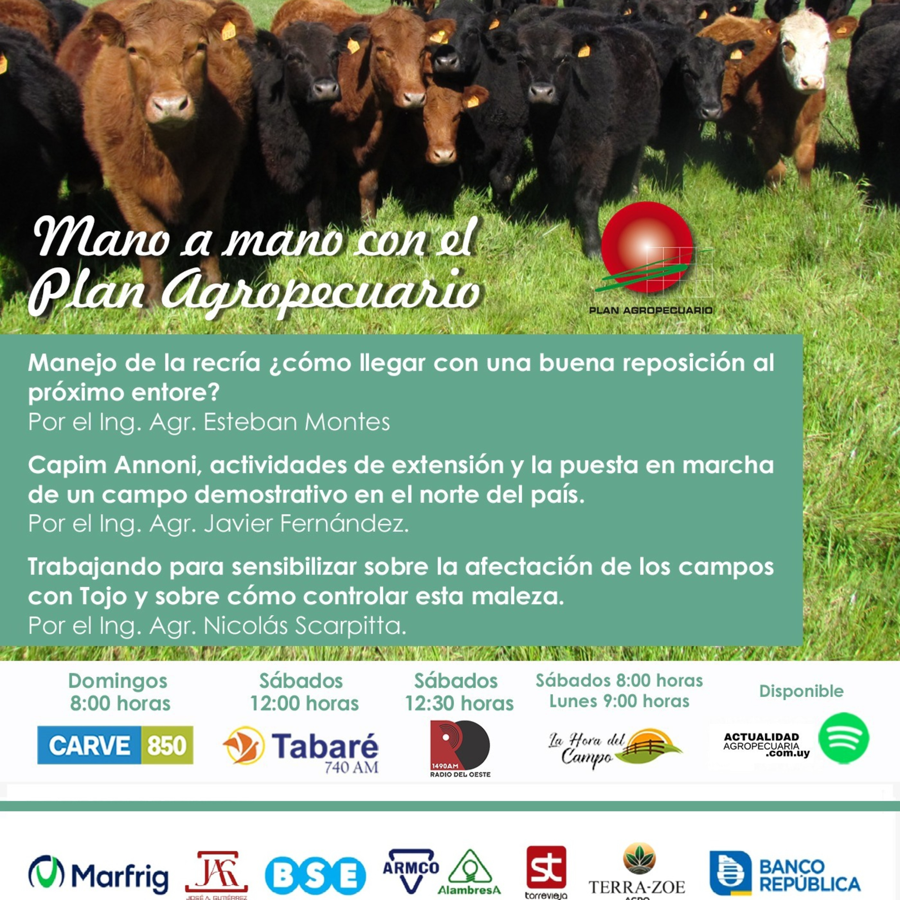 Recría - próximo entore. Capin Annoni. Tojo.