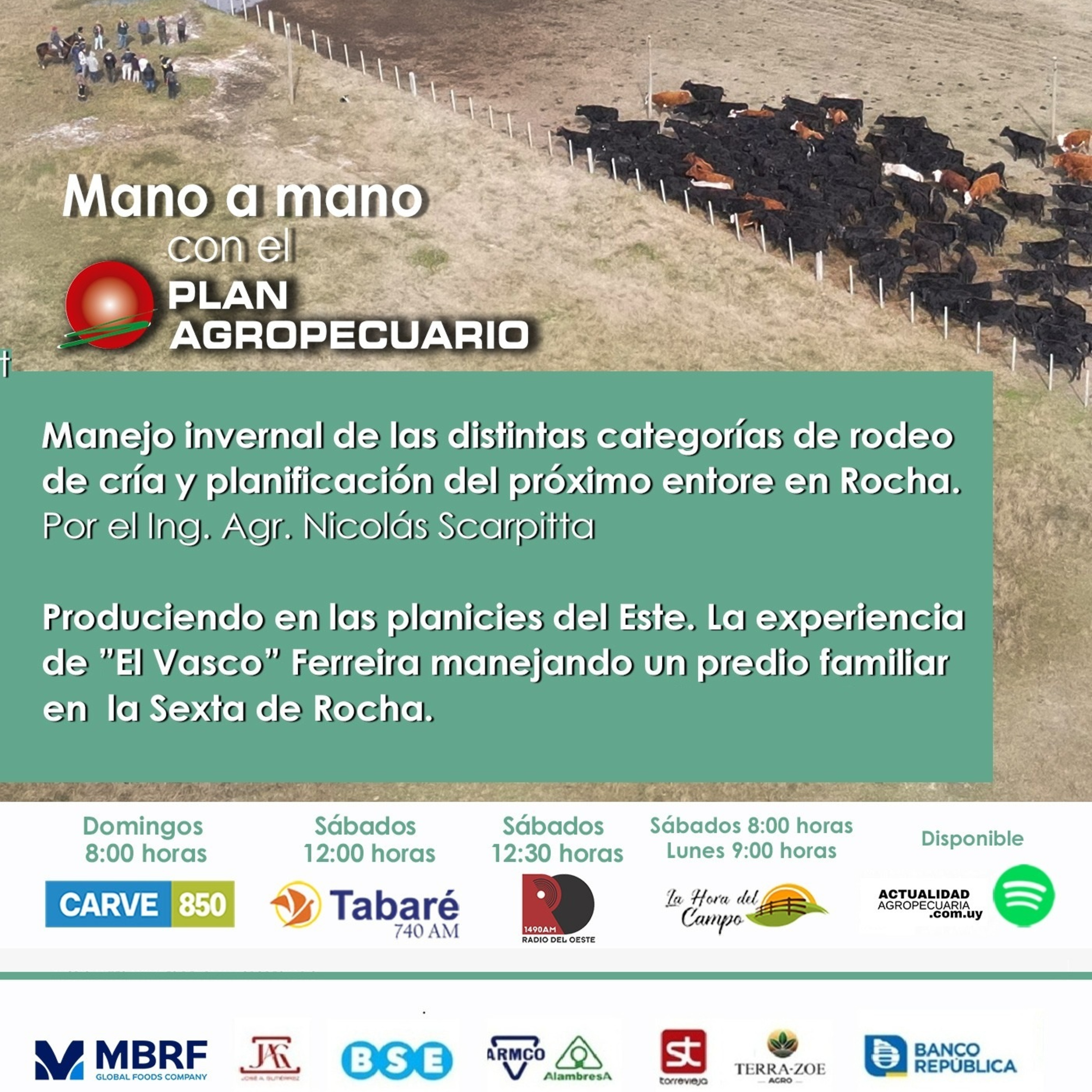 Manejo del rodeo de cría y próximo entore en Rocha. Producción en las planicies del Este.