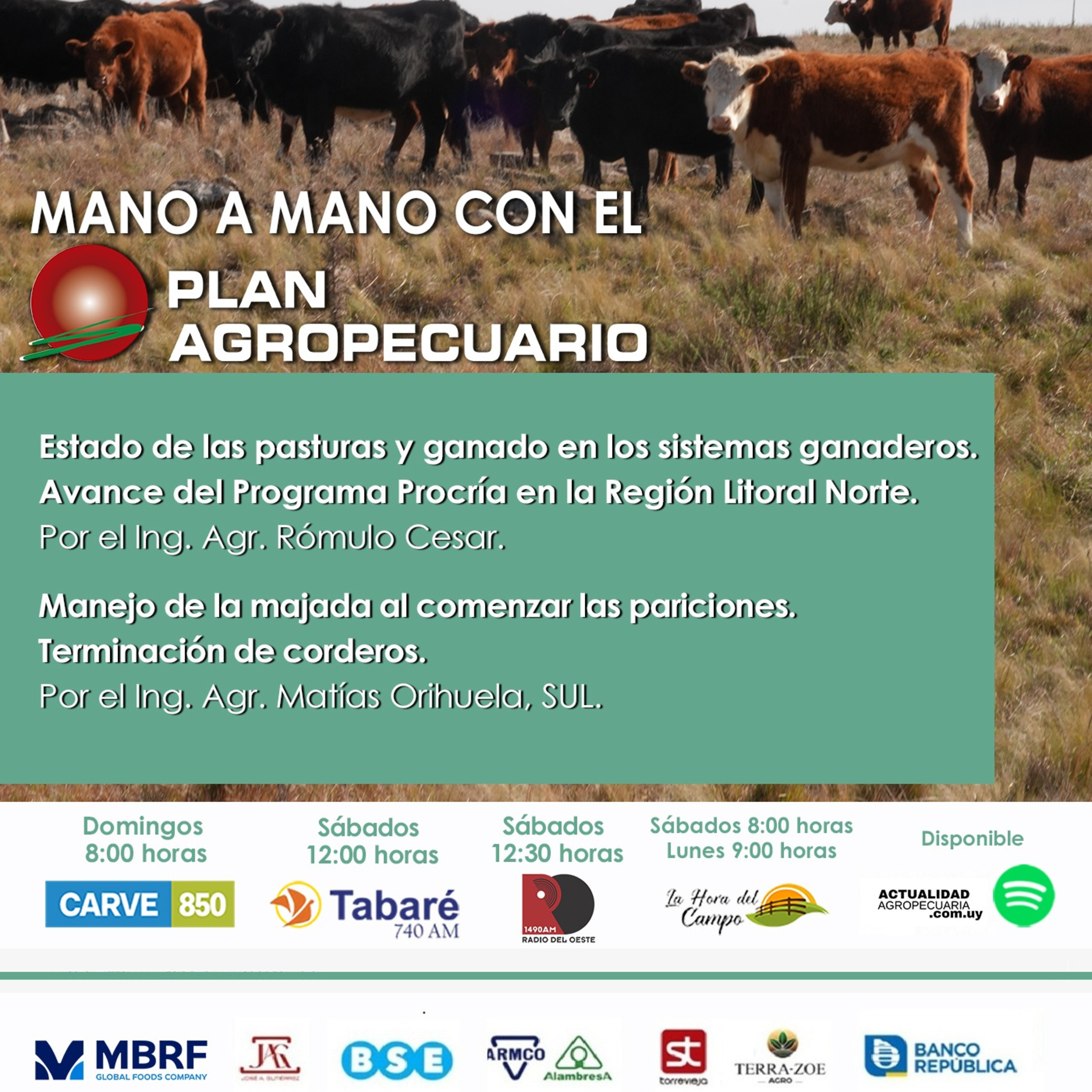 Situación y manejo de los sistemas ganaderos. Manejo y producción ovina.