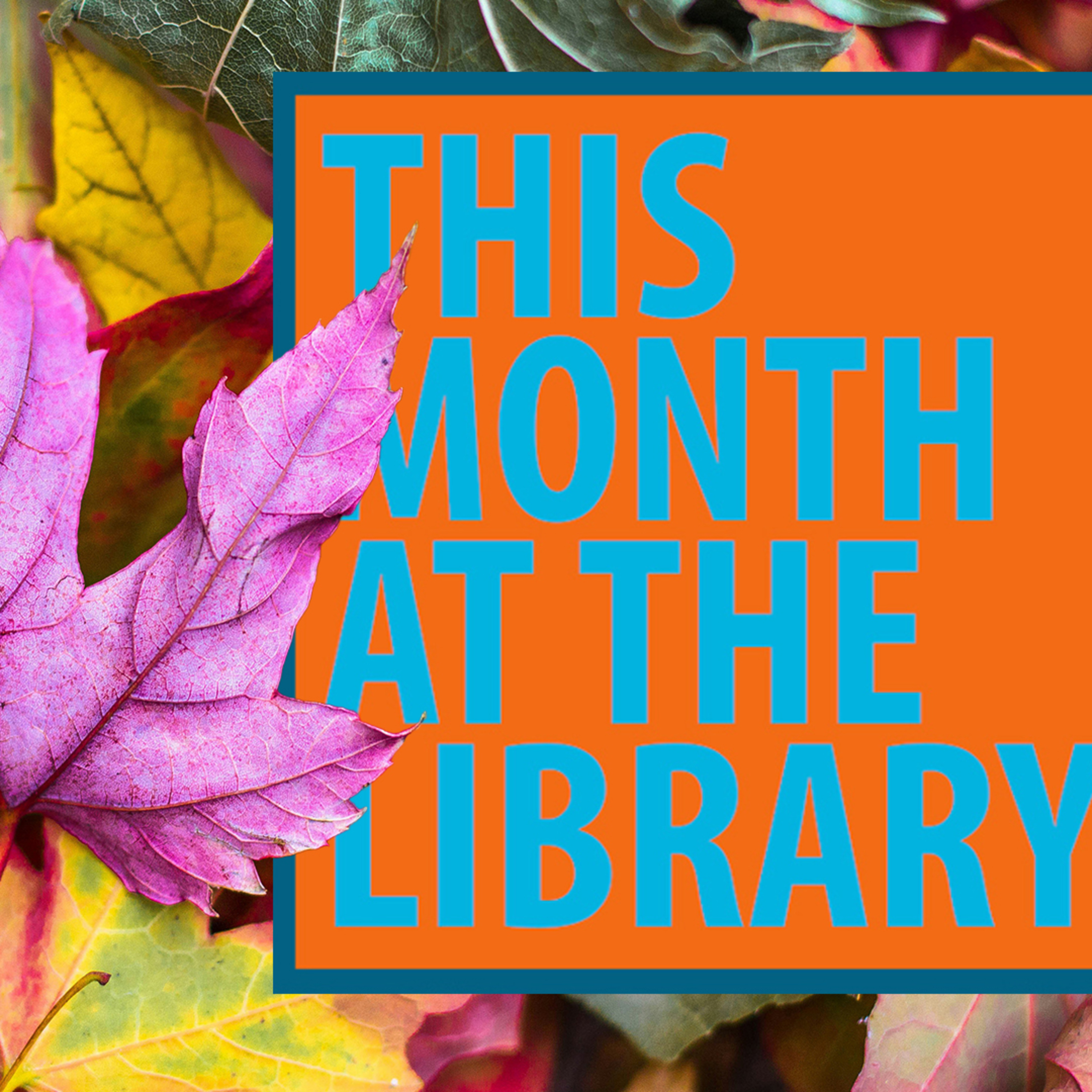 This Month at the Library: September 2025 episode artwork