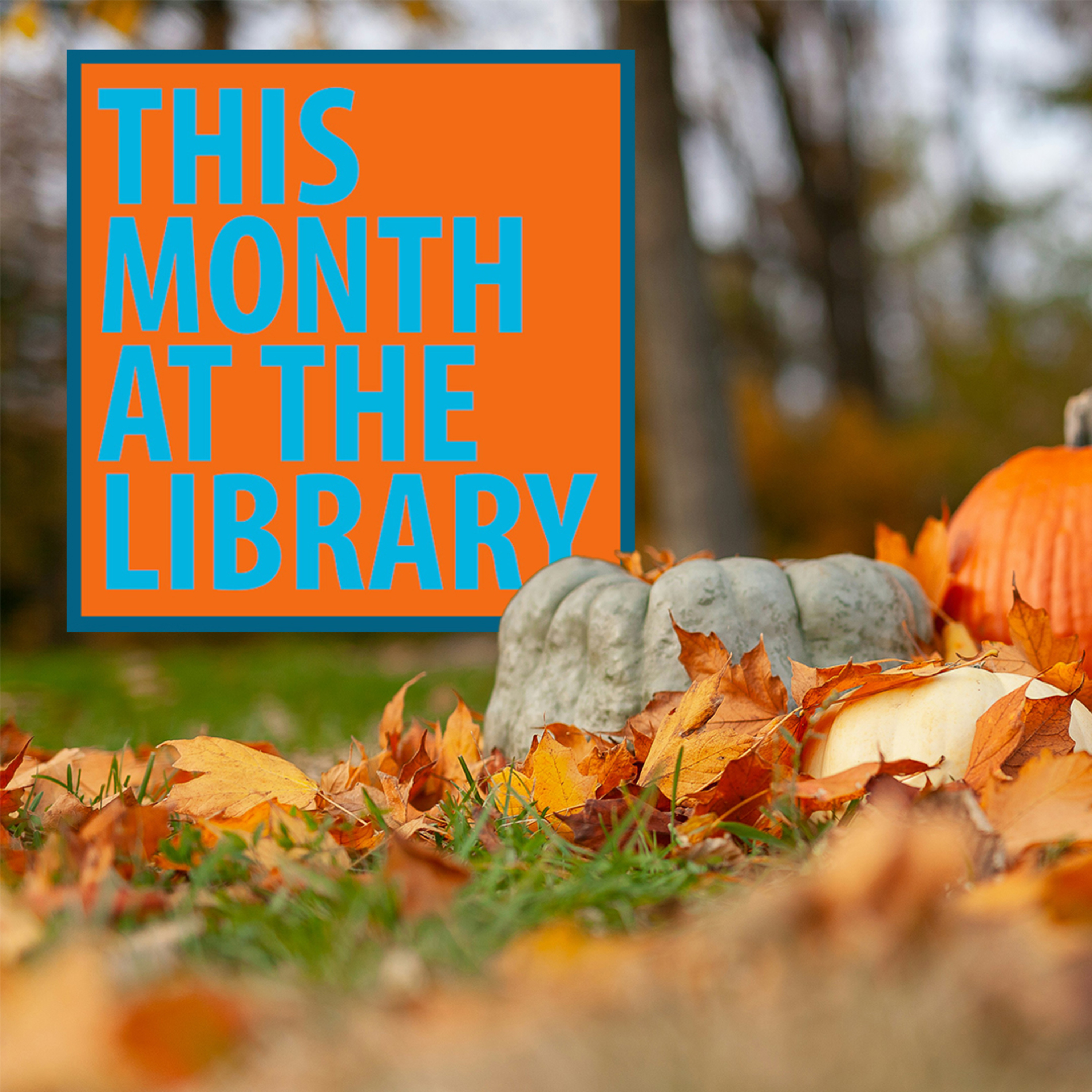 This Month at the Library: November 2025 episode artwork