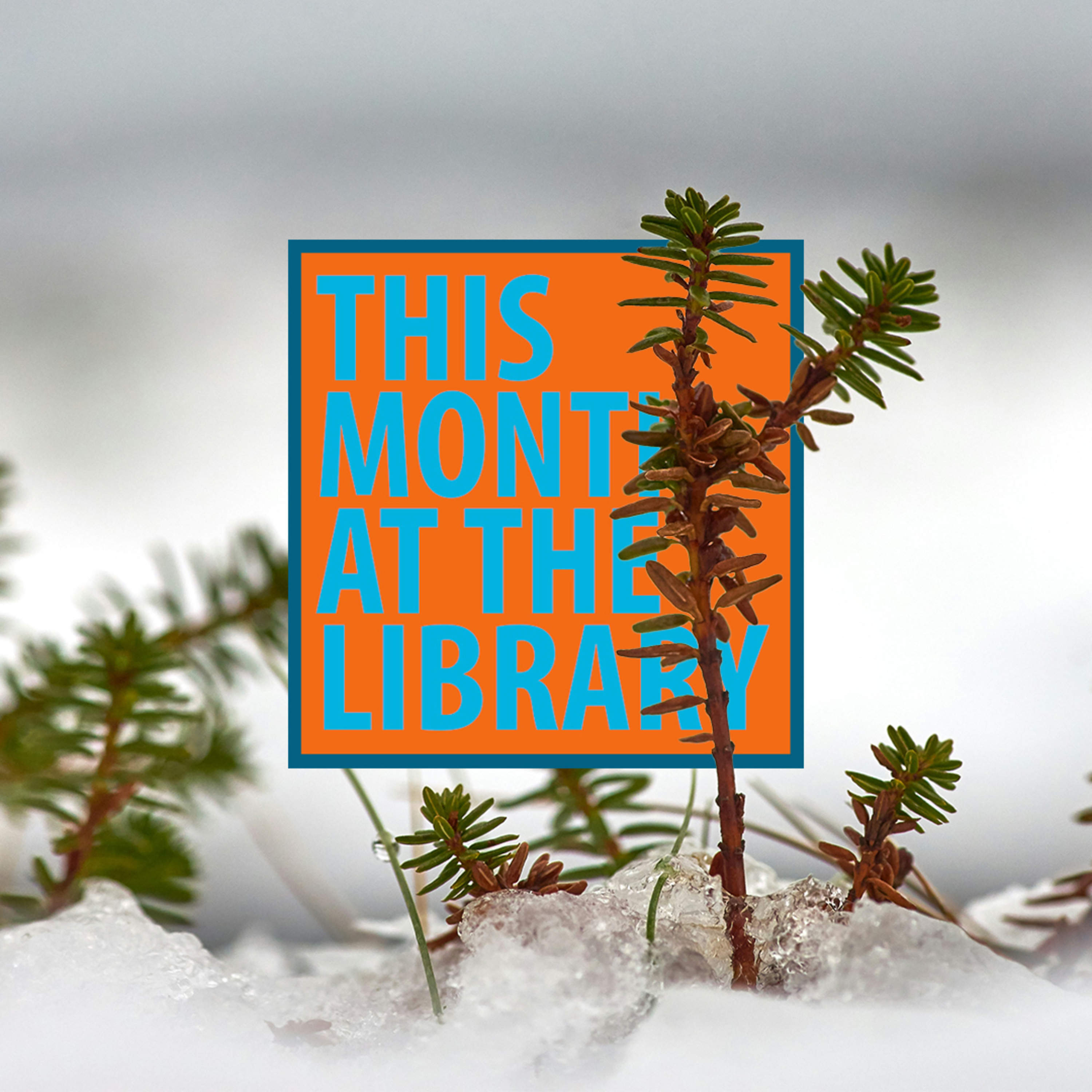This Month at the Library: February 2026 episode artwork