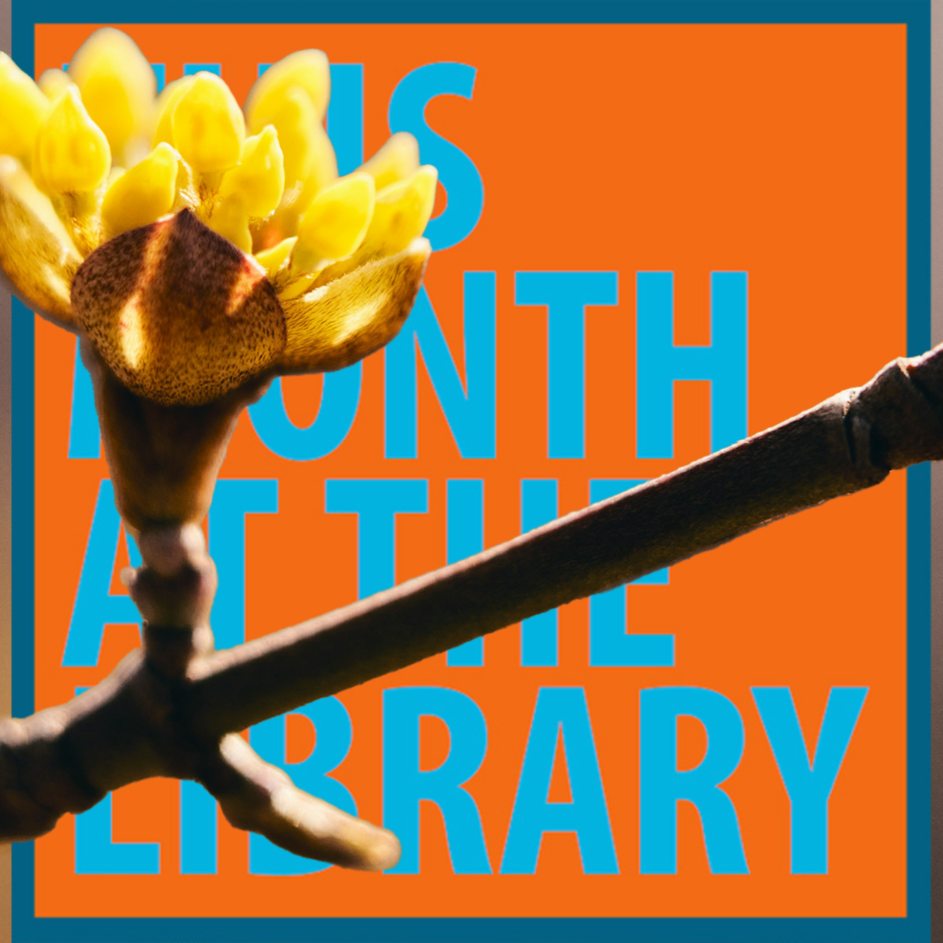 This Month at the Library: March 2026 episode artwork