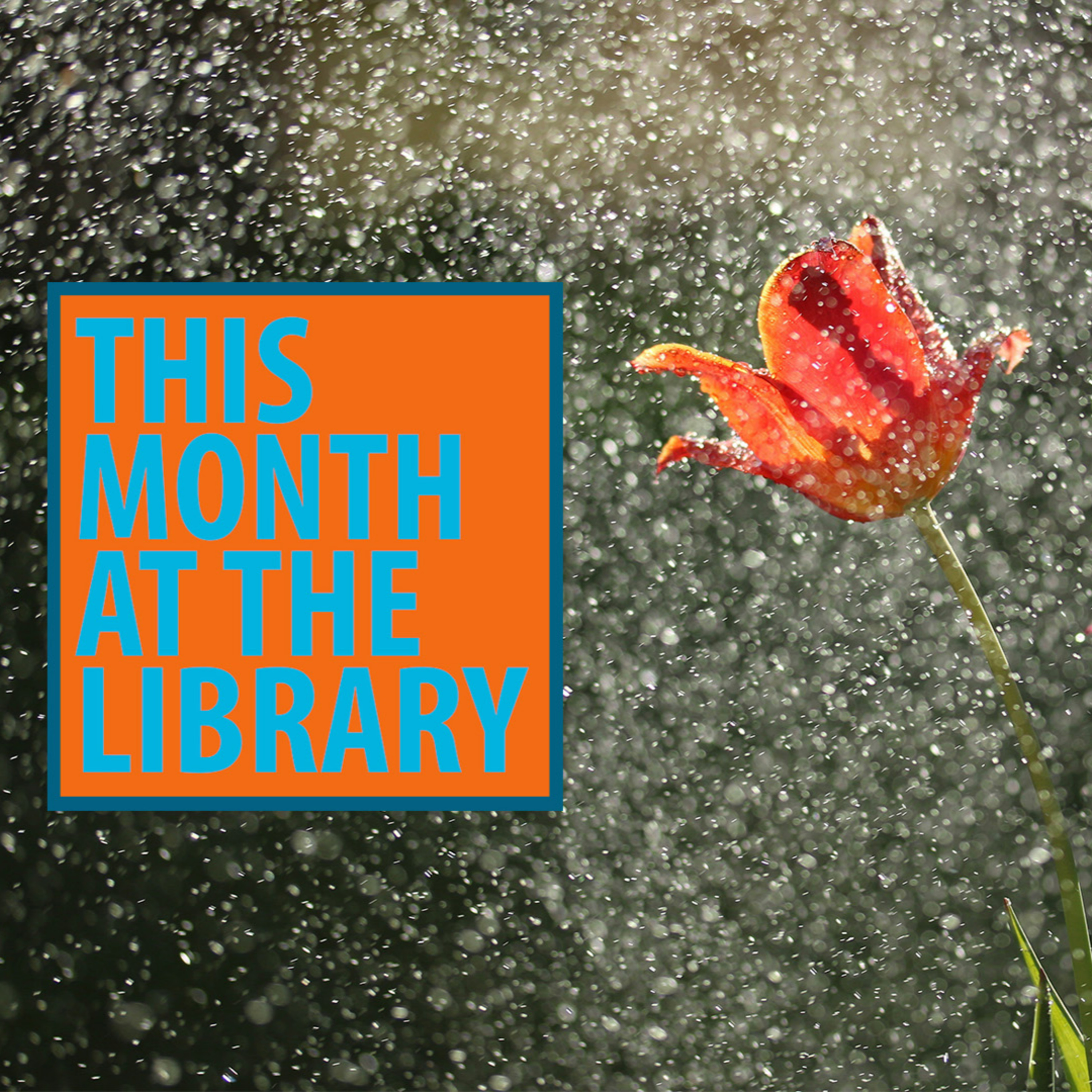 This Month at the Library: April 2026 episode artwork