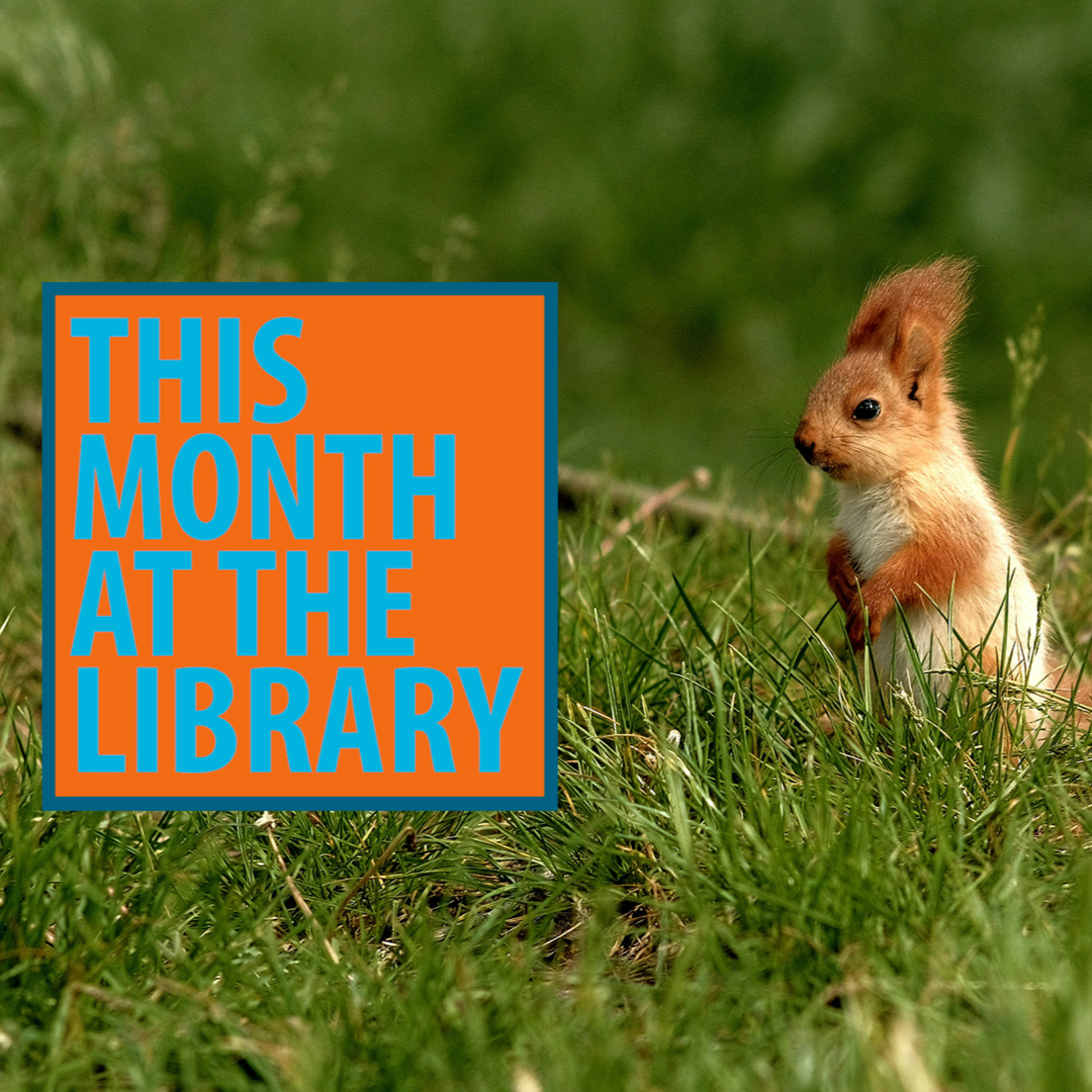 This Month at the Library: May 2026 episode artwork