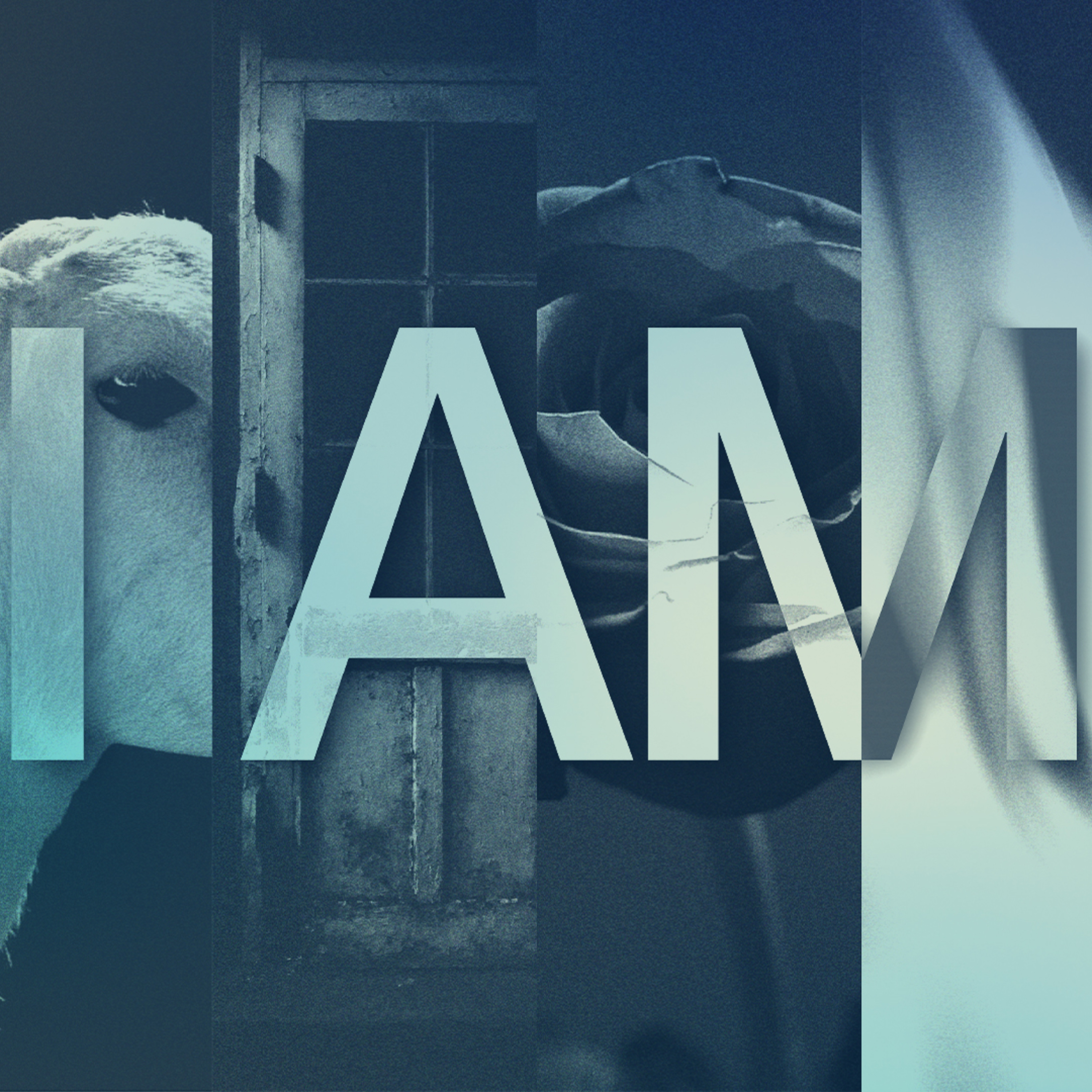 I AM - The Way the Truth and the Life | Andrew Sercombe episode artwork