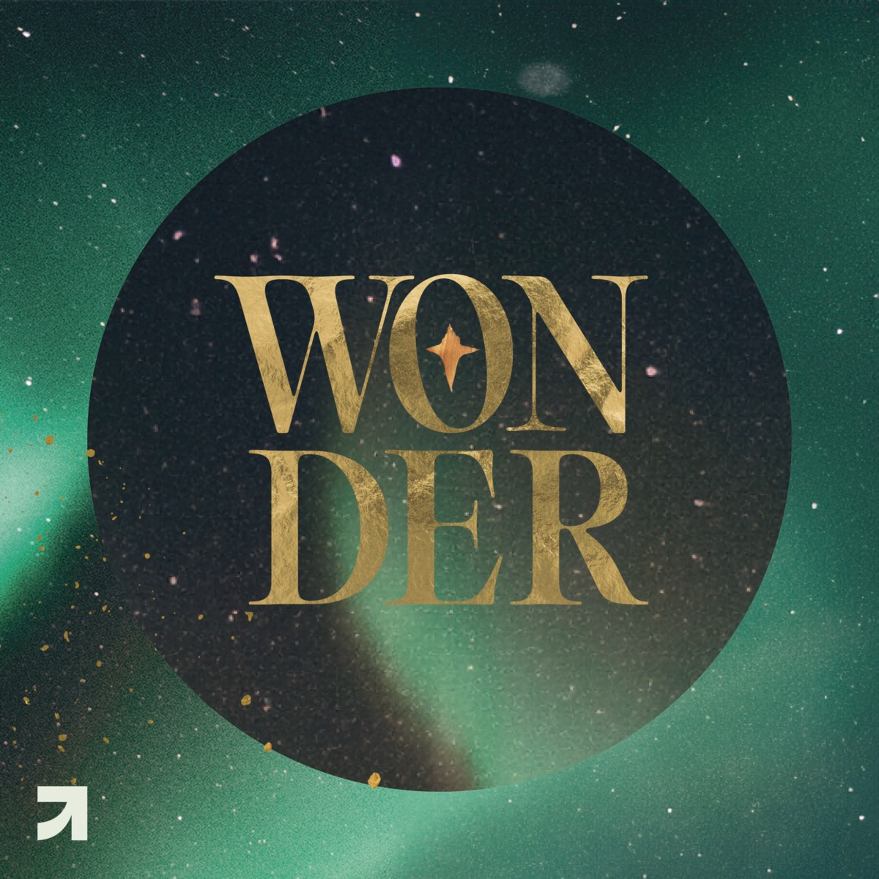 Wonder | Andrew Sercombe  episode artwork