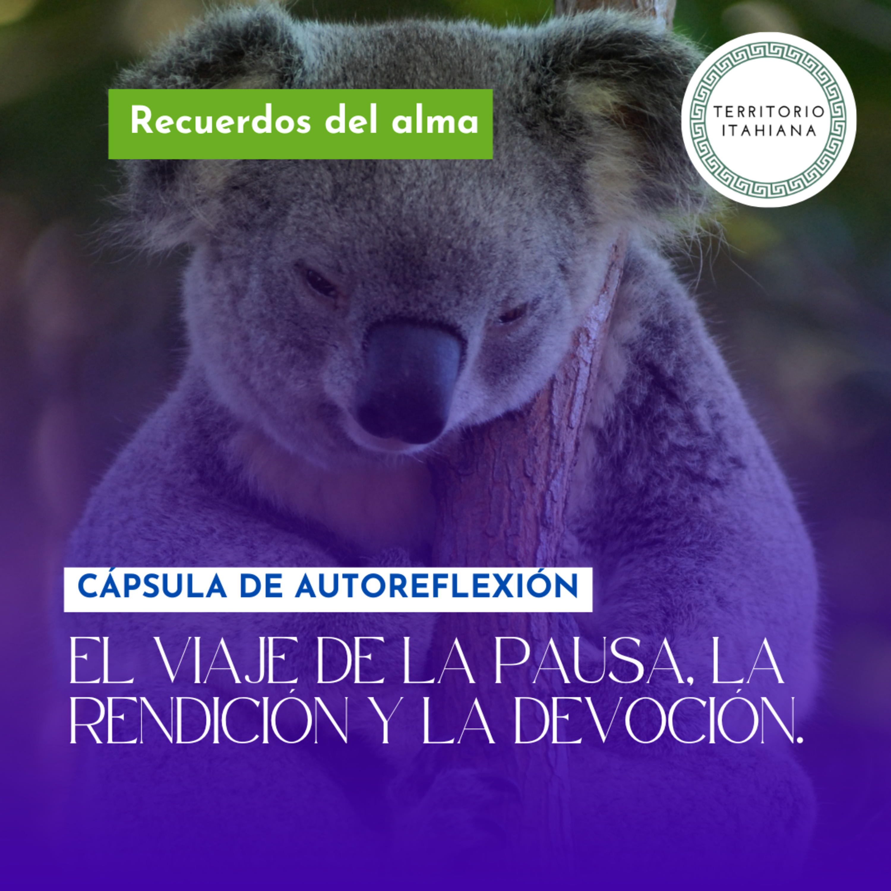 Recuerdos del Alma By Territorio Itahiana