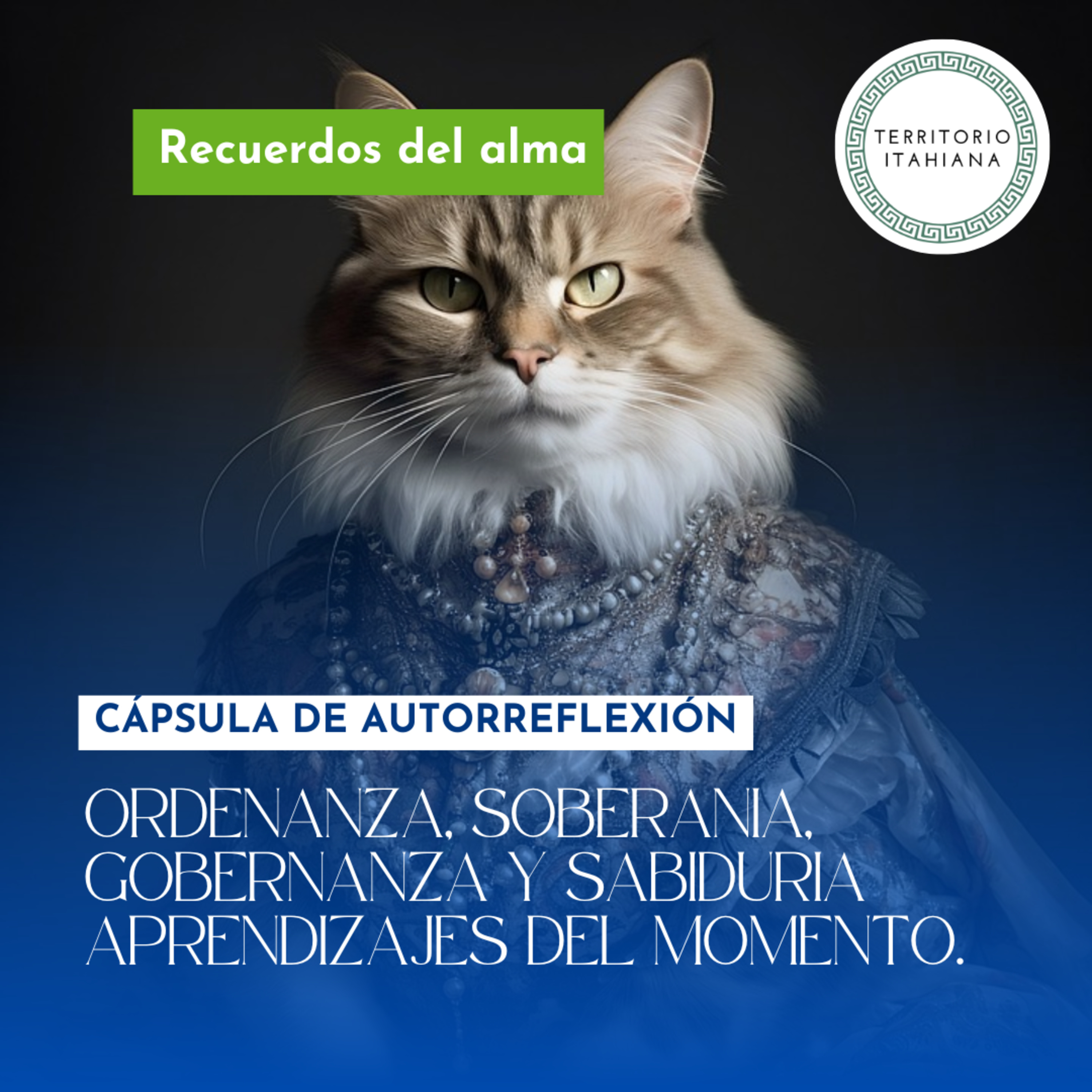 Cápsula de autorreflexión: Ordenanza, soberanía, gobernanza y sabiduría, aprendizajes del momento. episode artwork