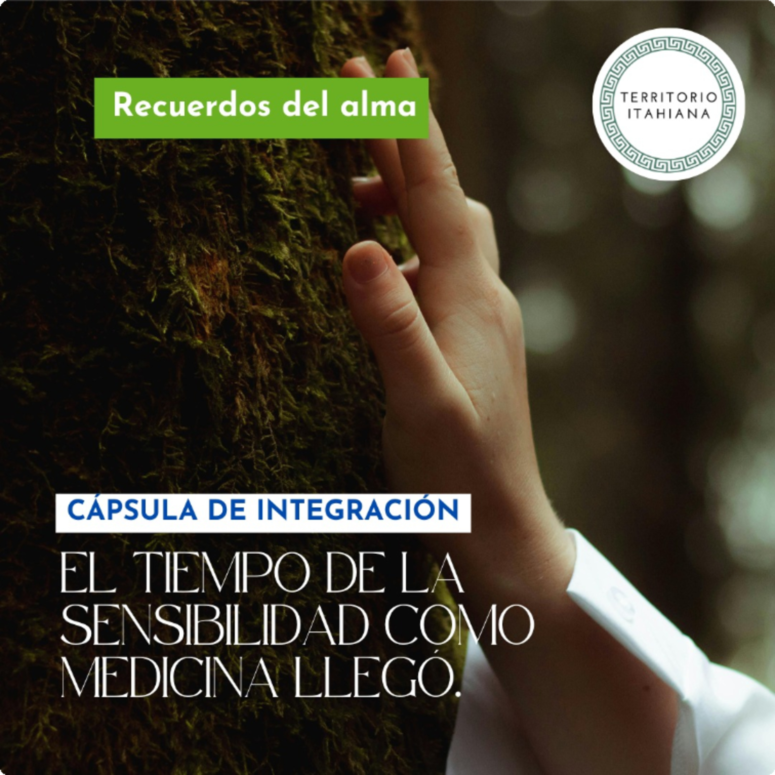 Cápsula de integración: El tiempo de la sensibilidad como medicina llegó. episode artwork