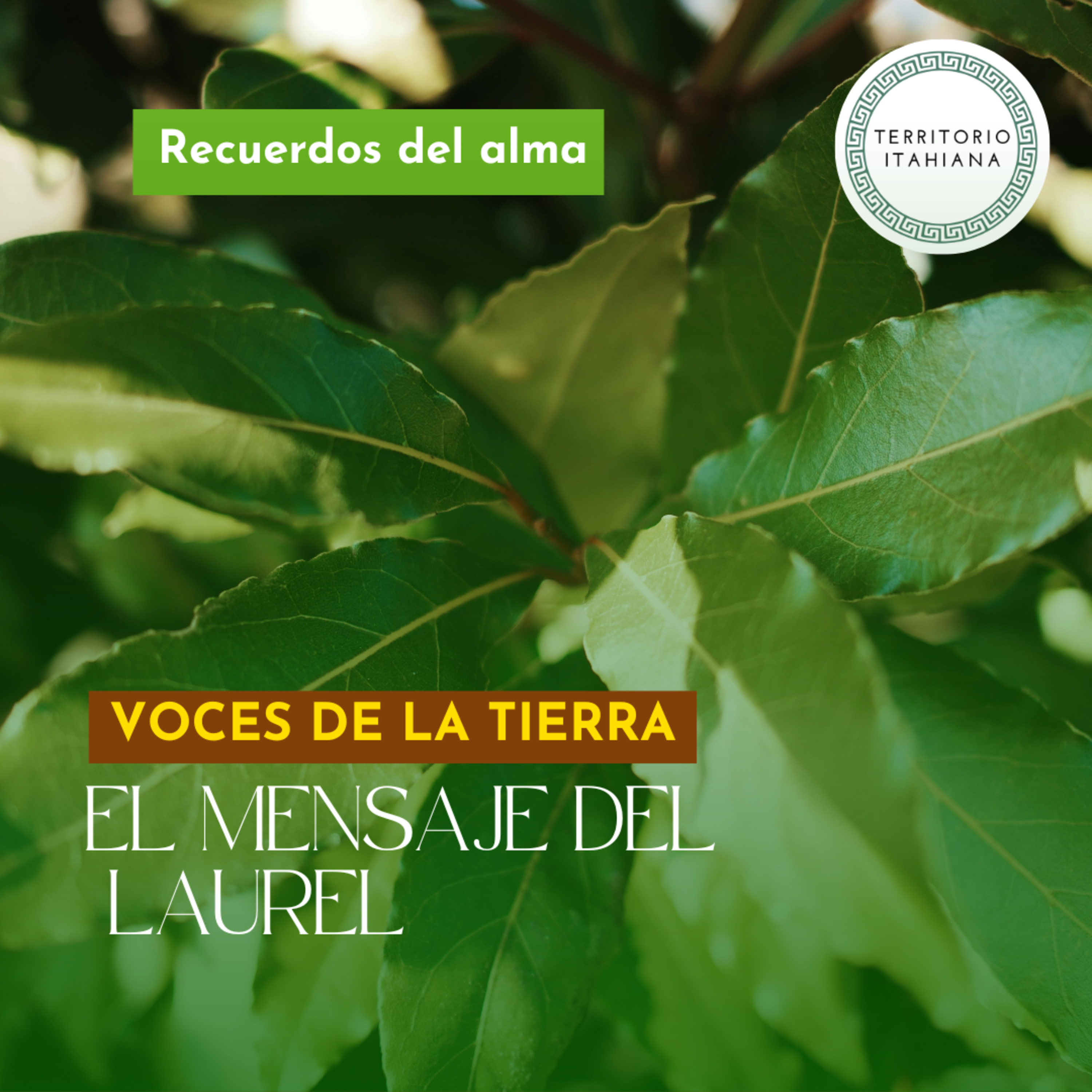 Voces de la tierra. Episodio 1: El mensaje del LAUREL episode artwork