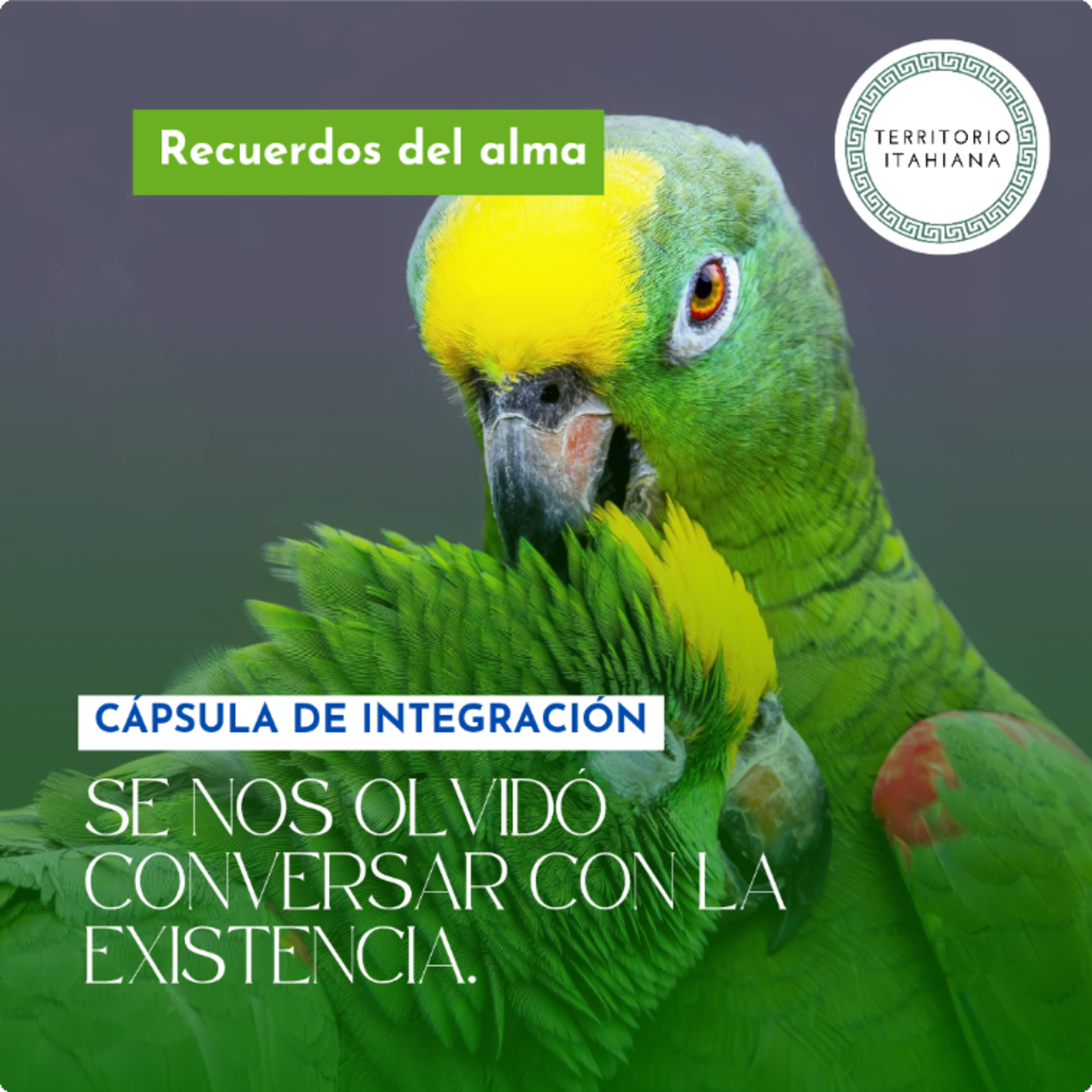 Cápsula de integración: Se nos olvidó conversar con la existencia. episode artwork