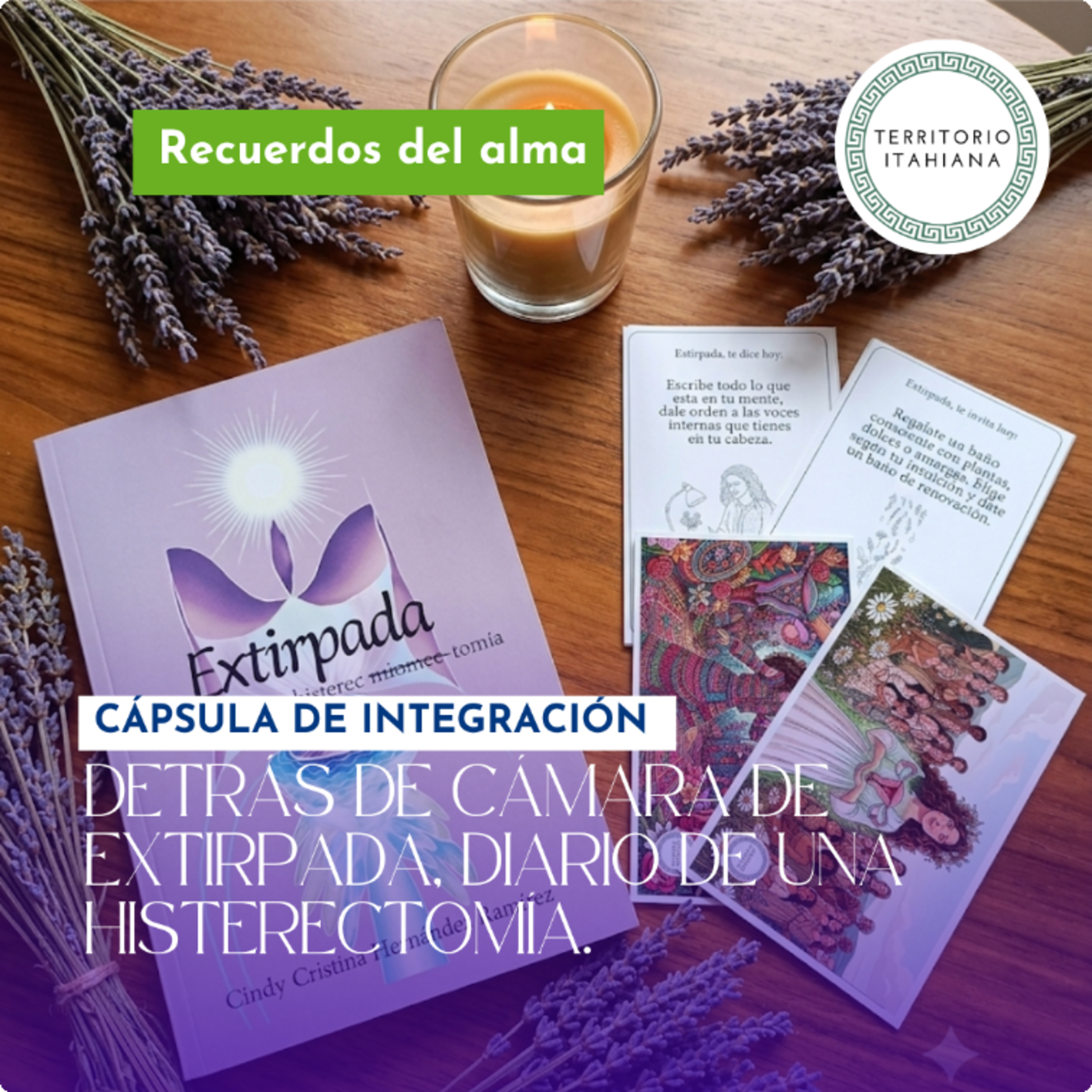 Cápsula de integración: Detrás de cámara de Extirpada: diario de una Histerectomía. episode artwork