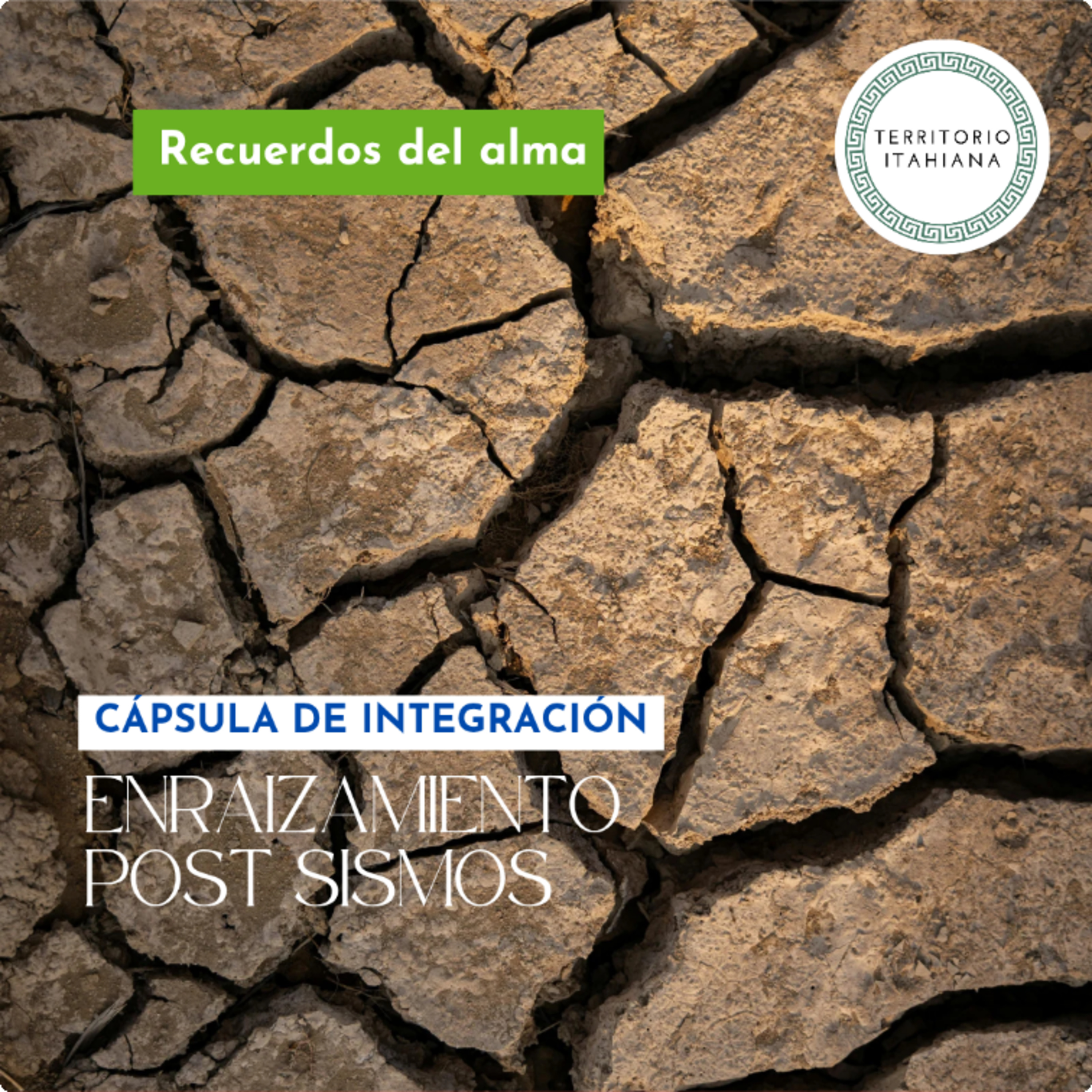 Cápsula de integración: Enraizamiento post sismos episode artwork