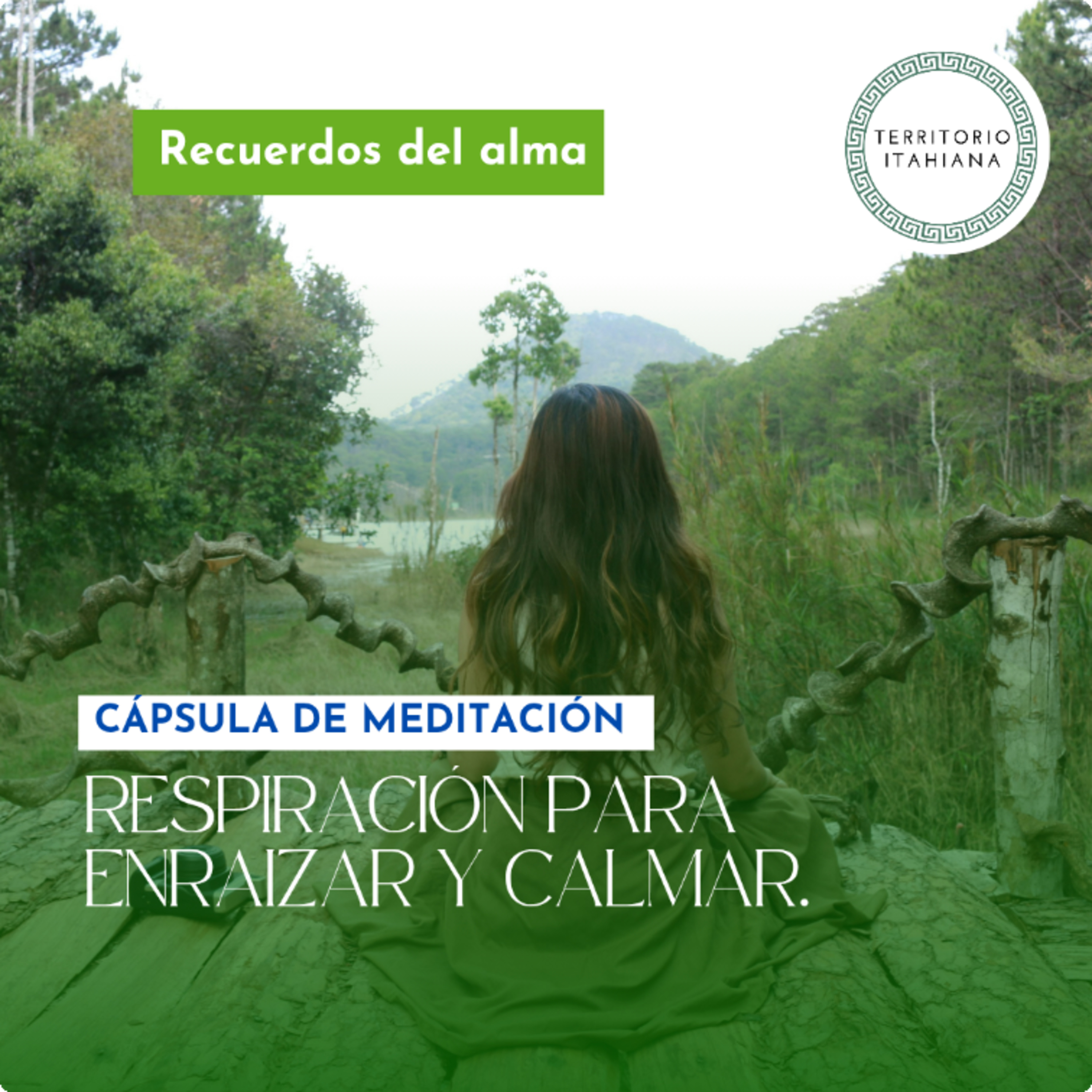 Cápsula de meditación: Respiración para enraizar y calmar. episode artwork