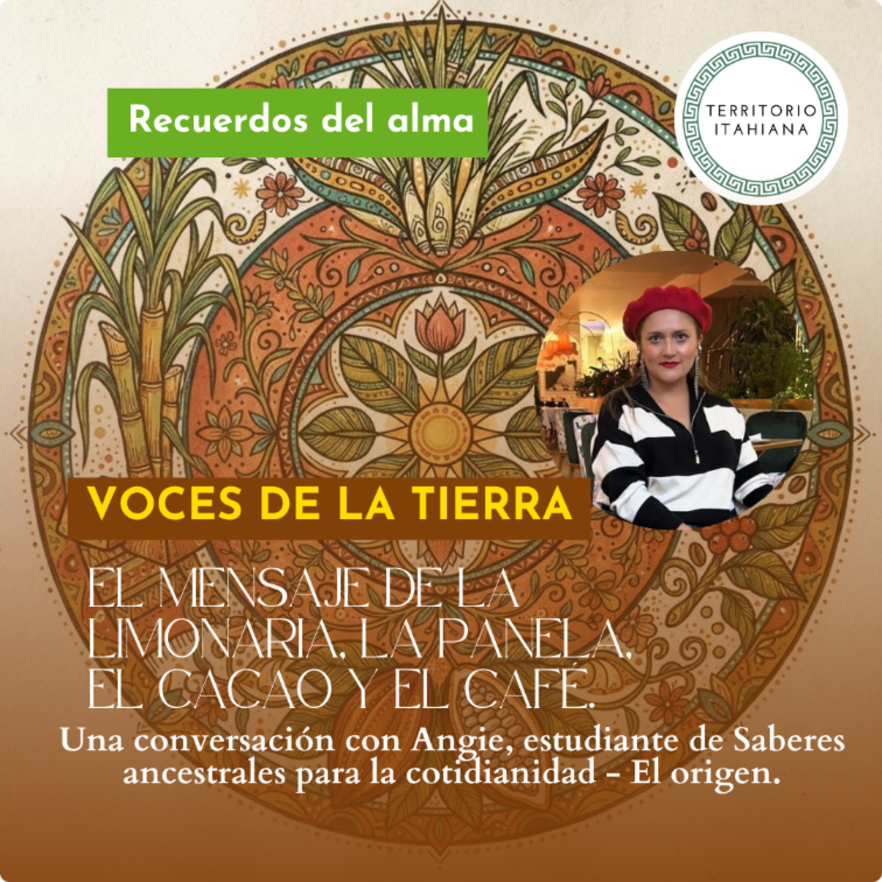 Voces de la tierra. El mensaje de la limonaria, la panela, el cacao y el café; con Angie Peñuela. episode artwork