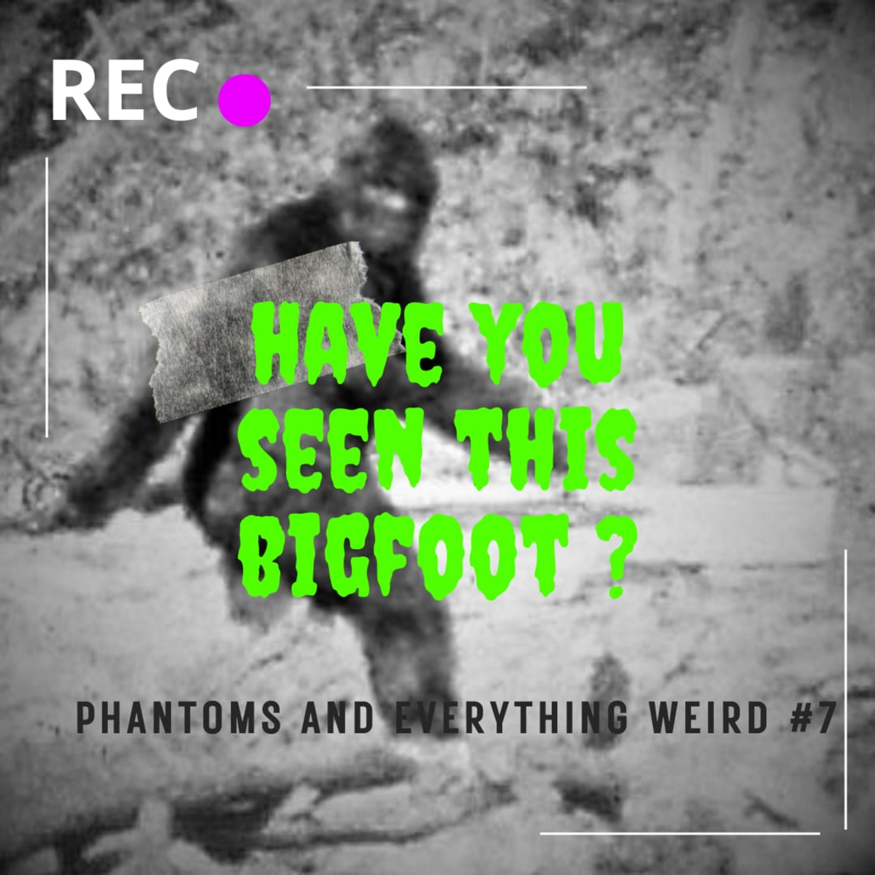 Patterson Gimlin Film (Phantoms and Everything Weird #7) episode artwork