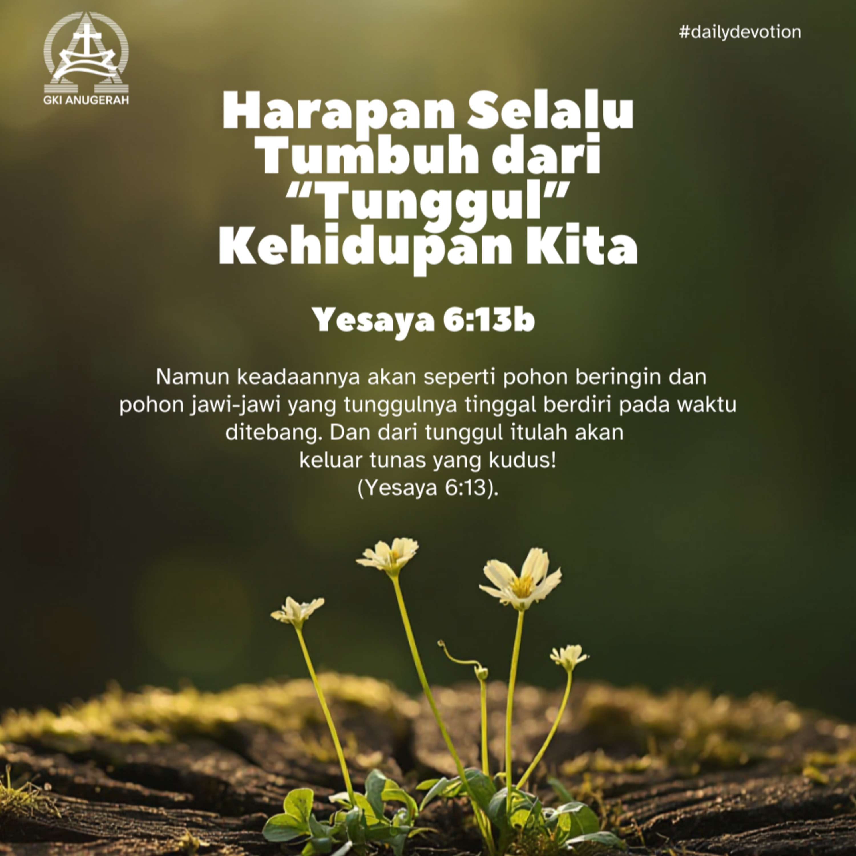 Harapan Selalu Tumbuh dari “Tunggul” Kehidupan Kita | Renungan Harian GKI Anugerah | 15 Desember 2025  episode artwork