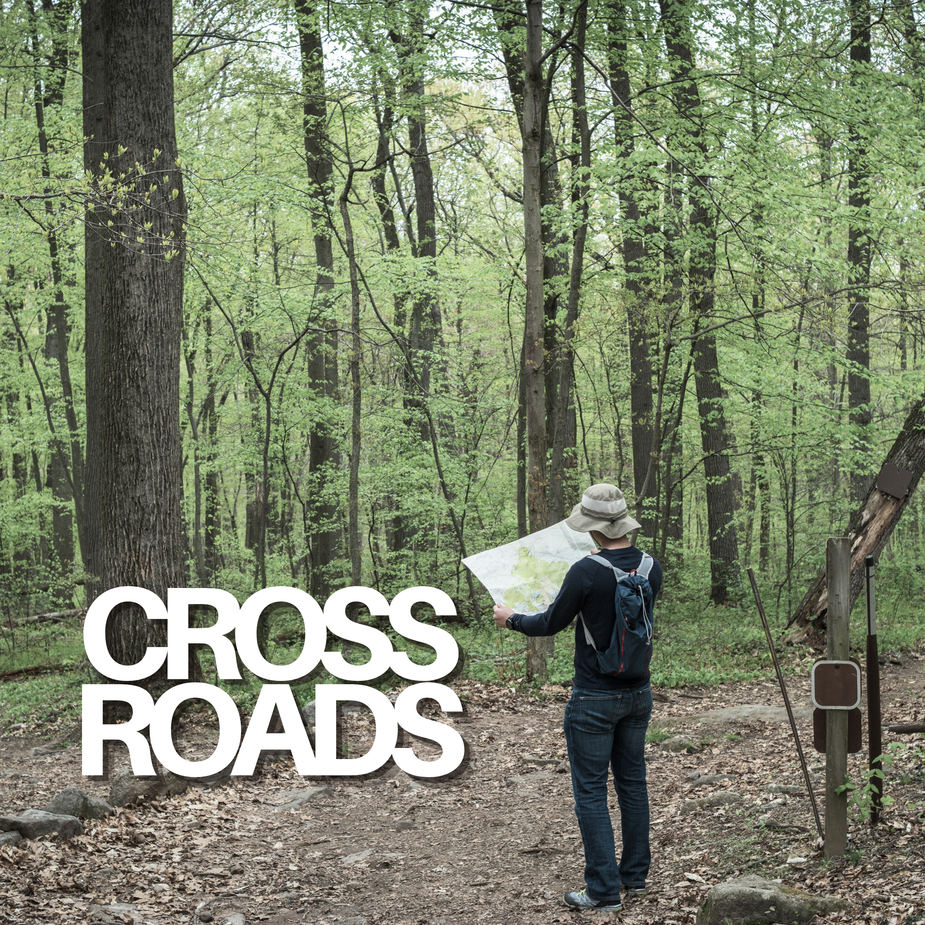 Crossroads: Part 3: Crossfire episode artwork