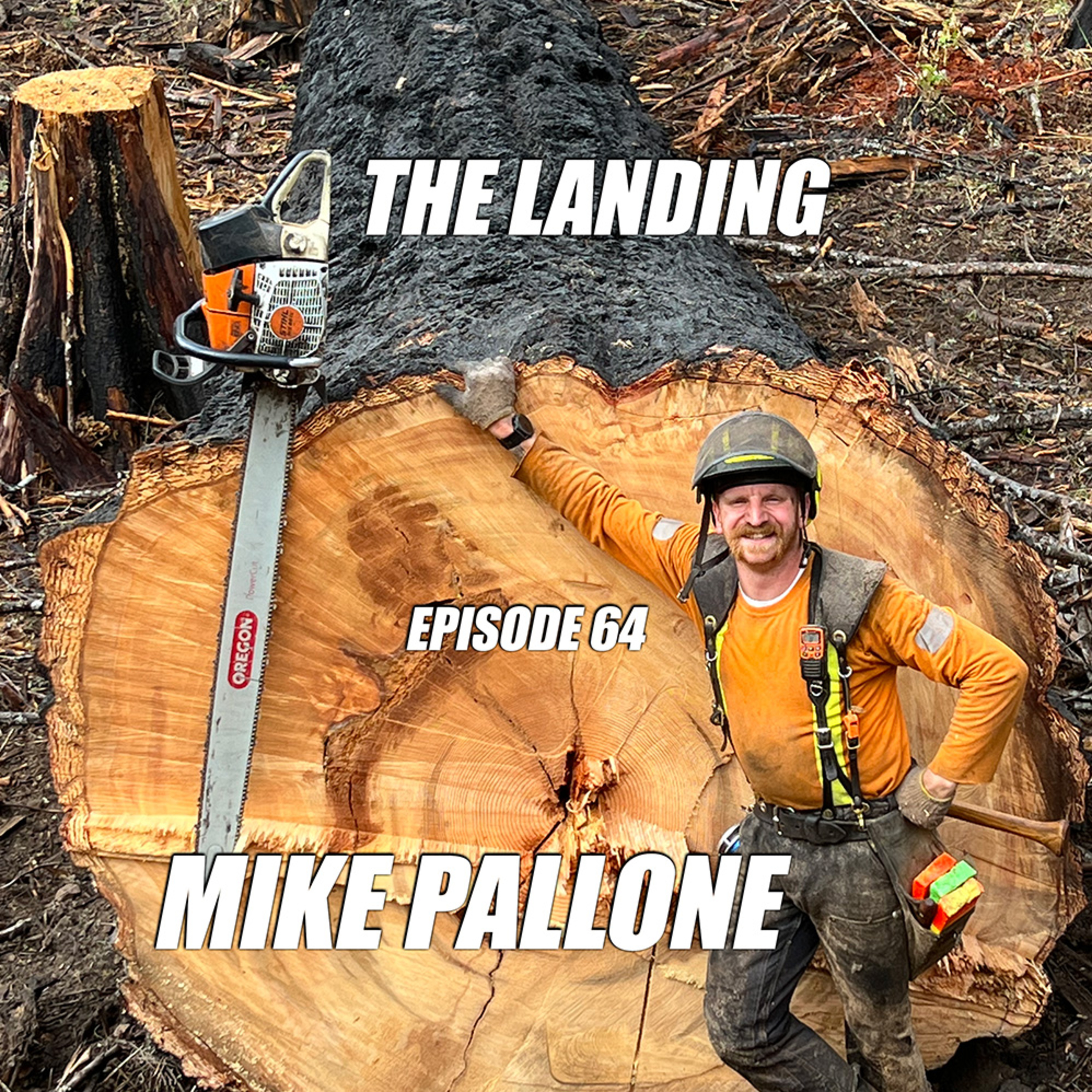 The Landing EP64: Mike Pallone episode artwork