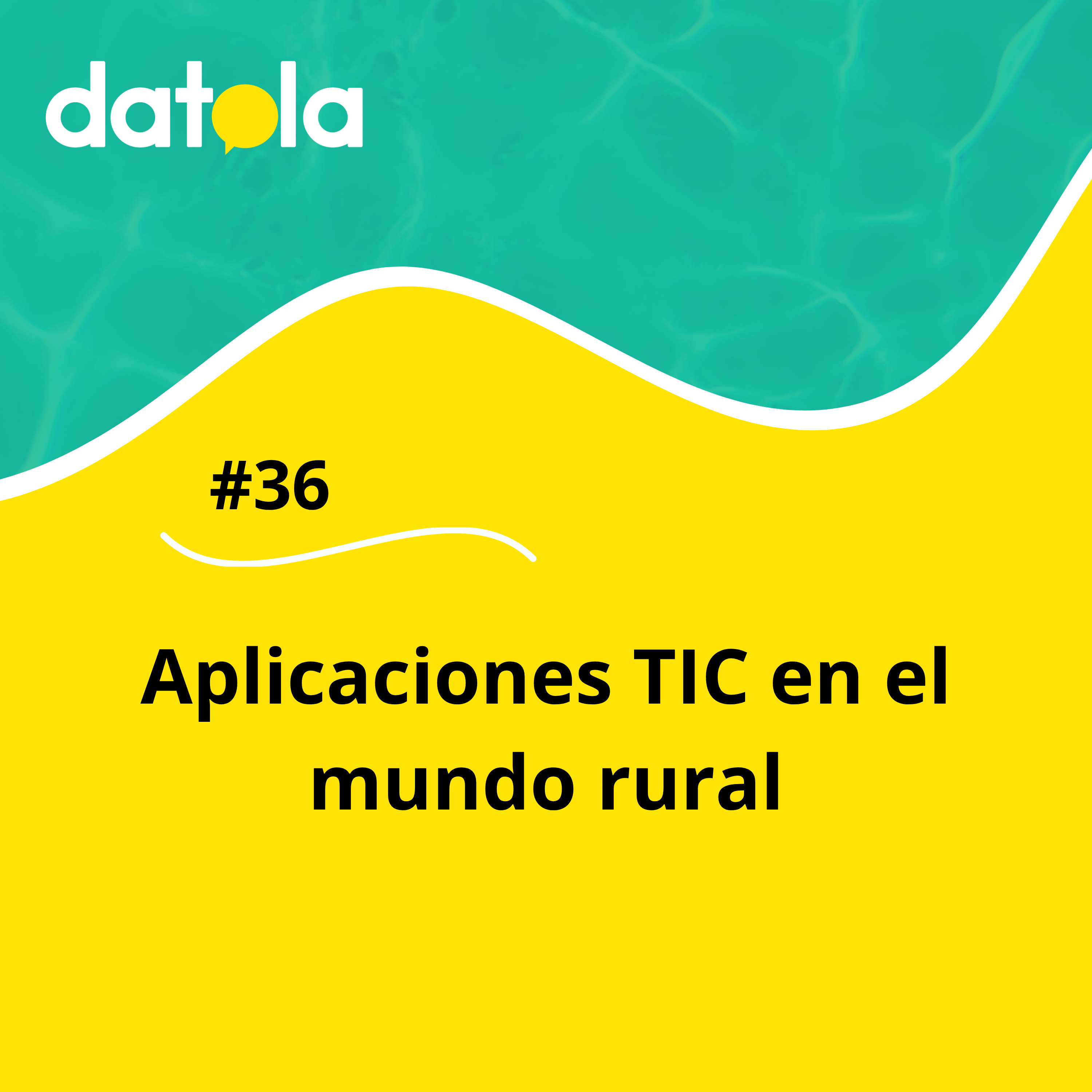 Datola - Comunidad de Analítica digital y datos