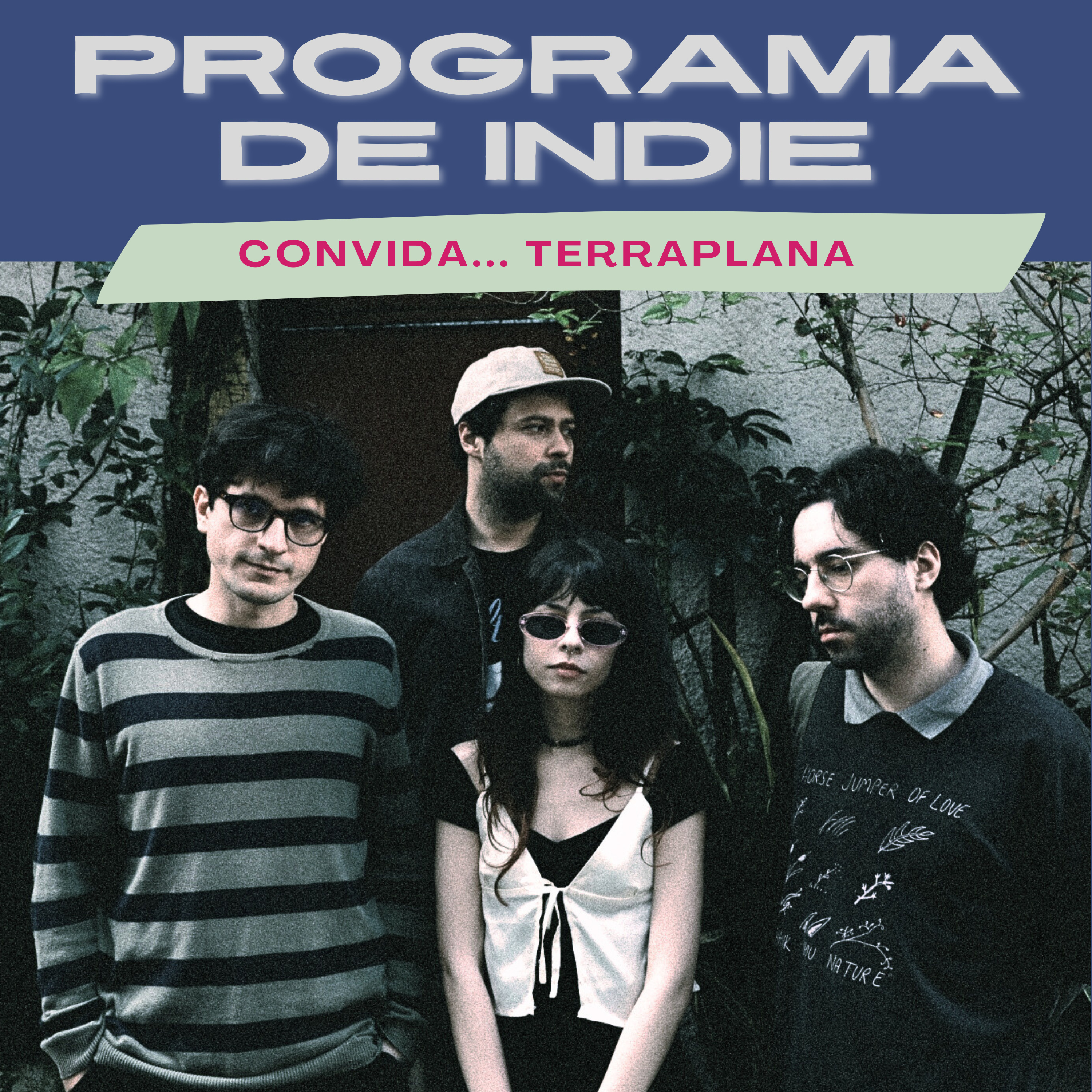 Programa de Indie