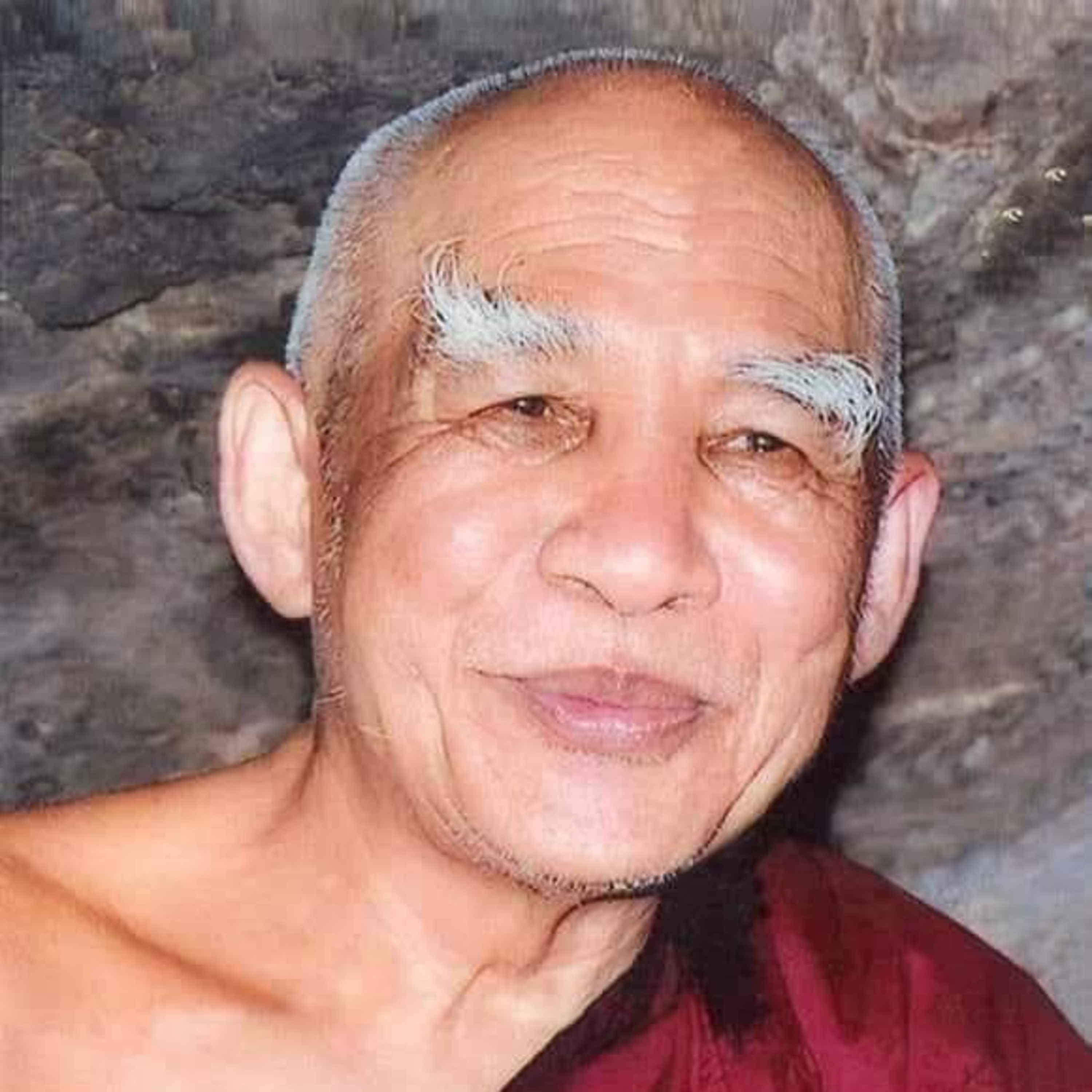 ဓမ္မစကြာ၊ ပရိမိတ္တဇာလသုတ်နှင့် မေတ္တာပို့ - မဟာဗောဓိမြိုင် ဆရာတော်ဘုရားကြီး episode artwork