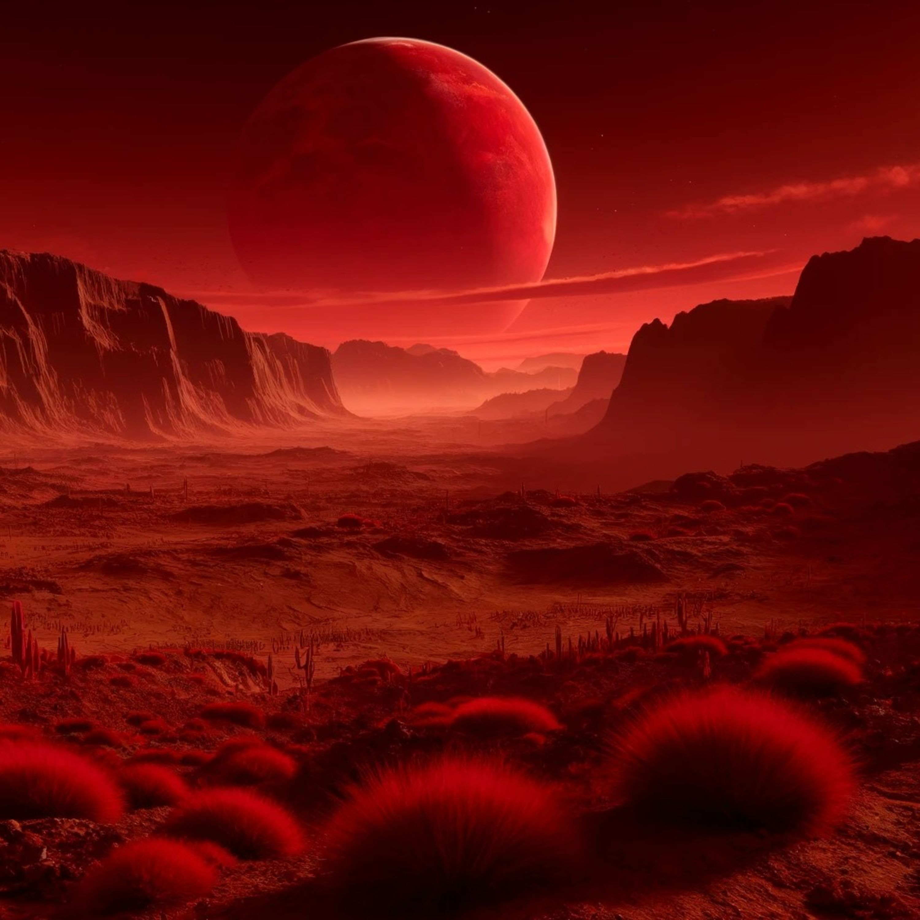 Ukrainian INTERPLANETARY Radio