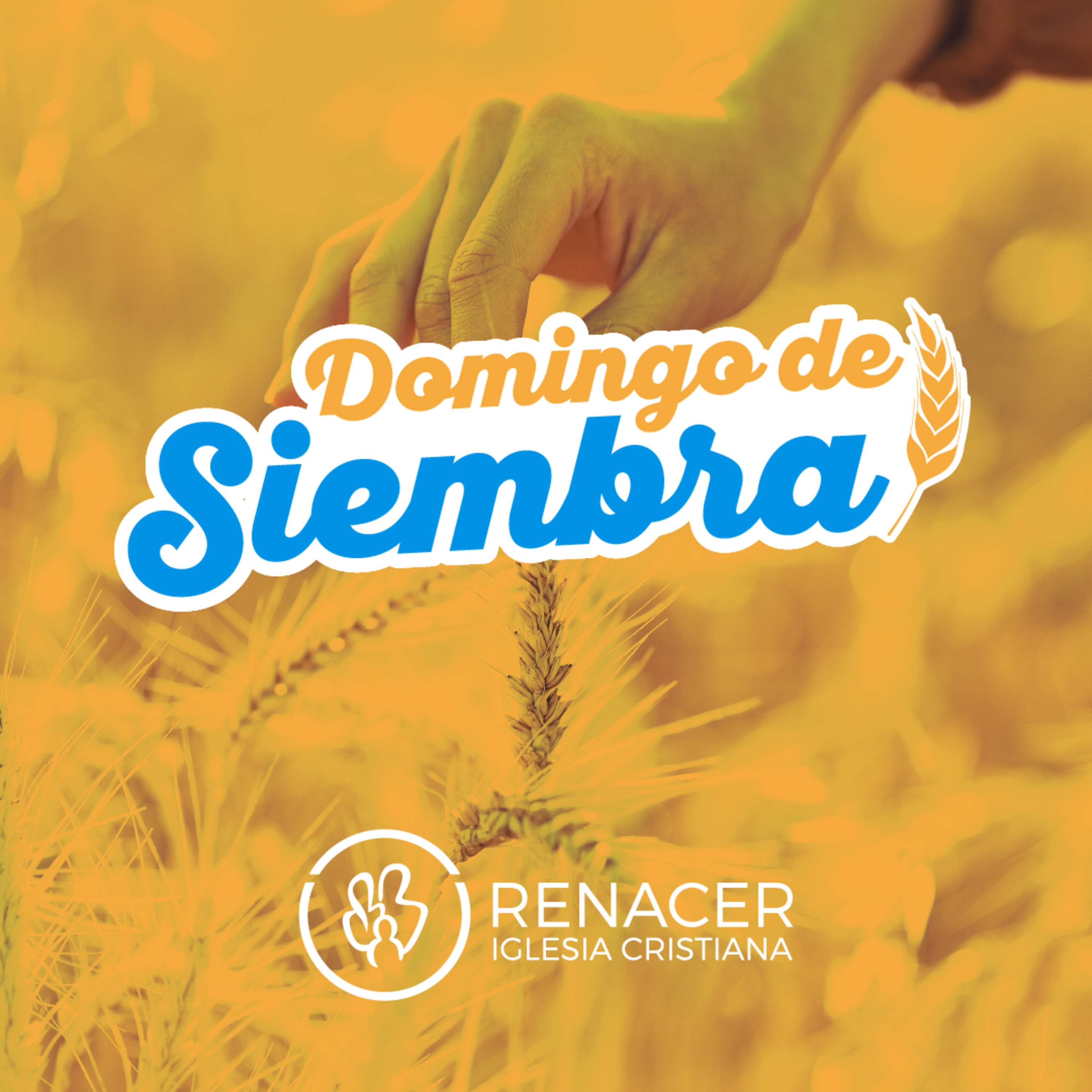 Renacer Cordoba