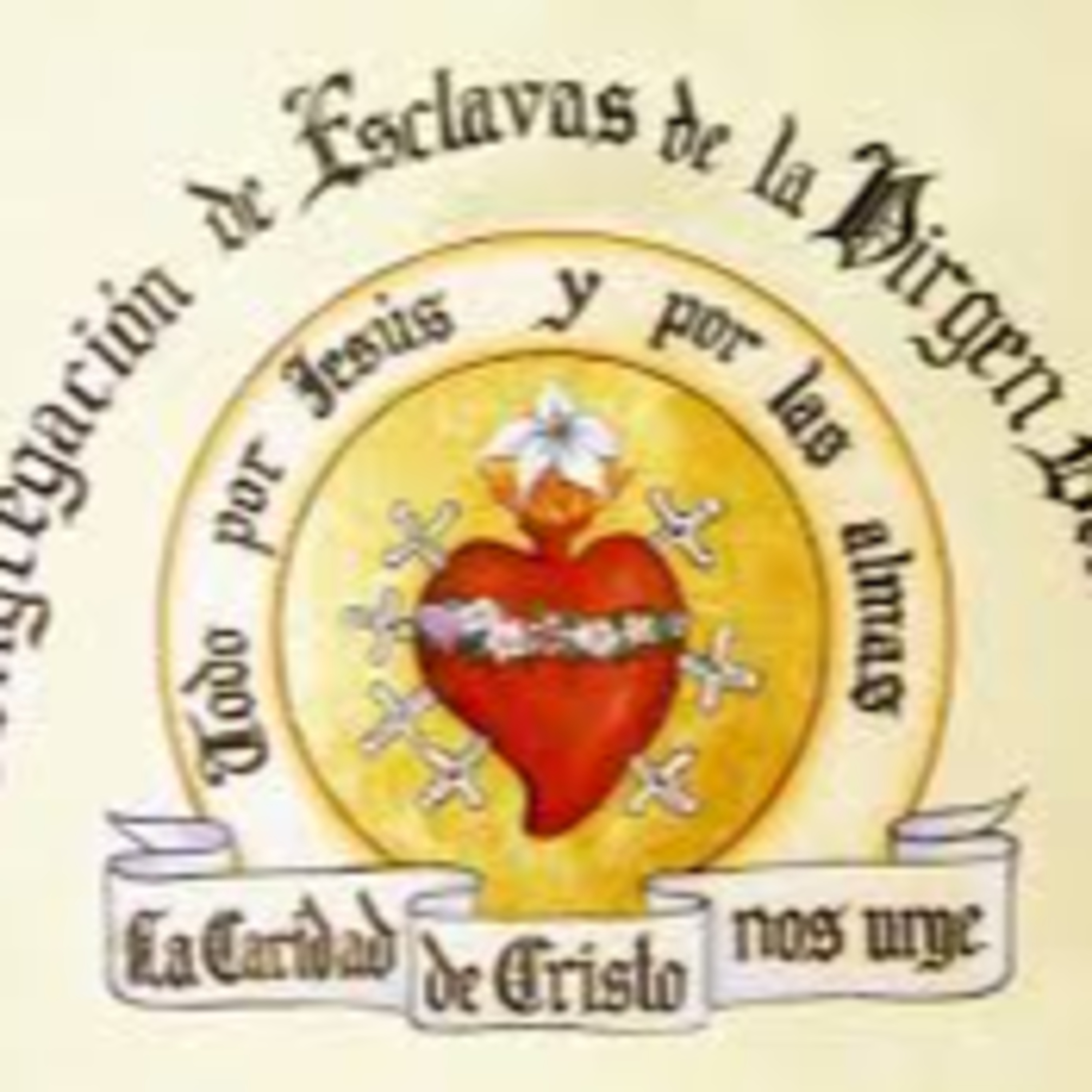 Iglesia Noticia Tui-Vigo.