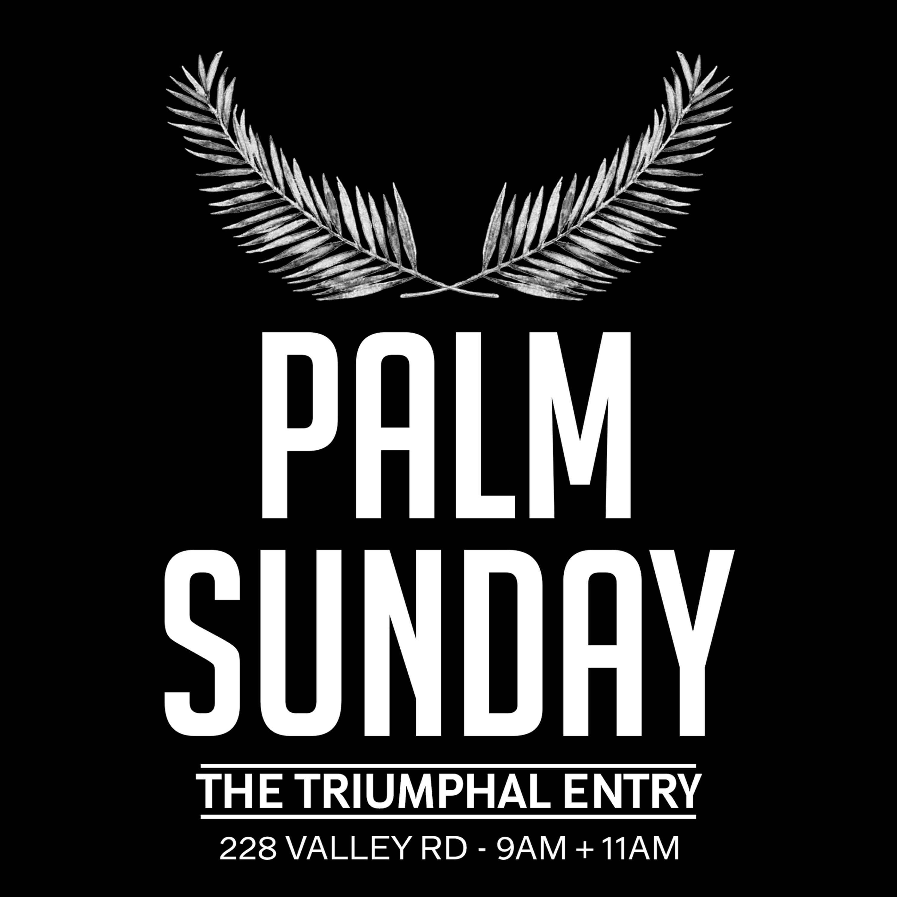 The Triumphal Entry (Matthew 21:1-17) episode artwork