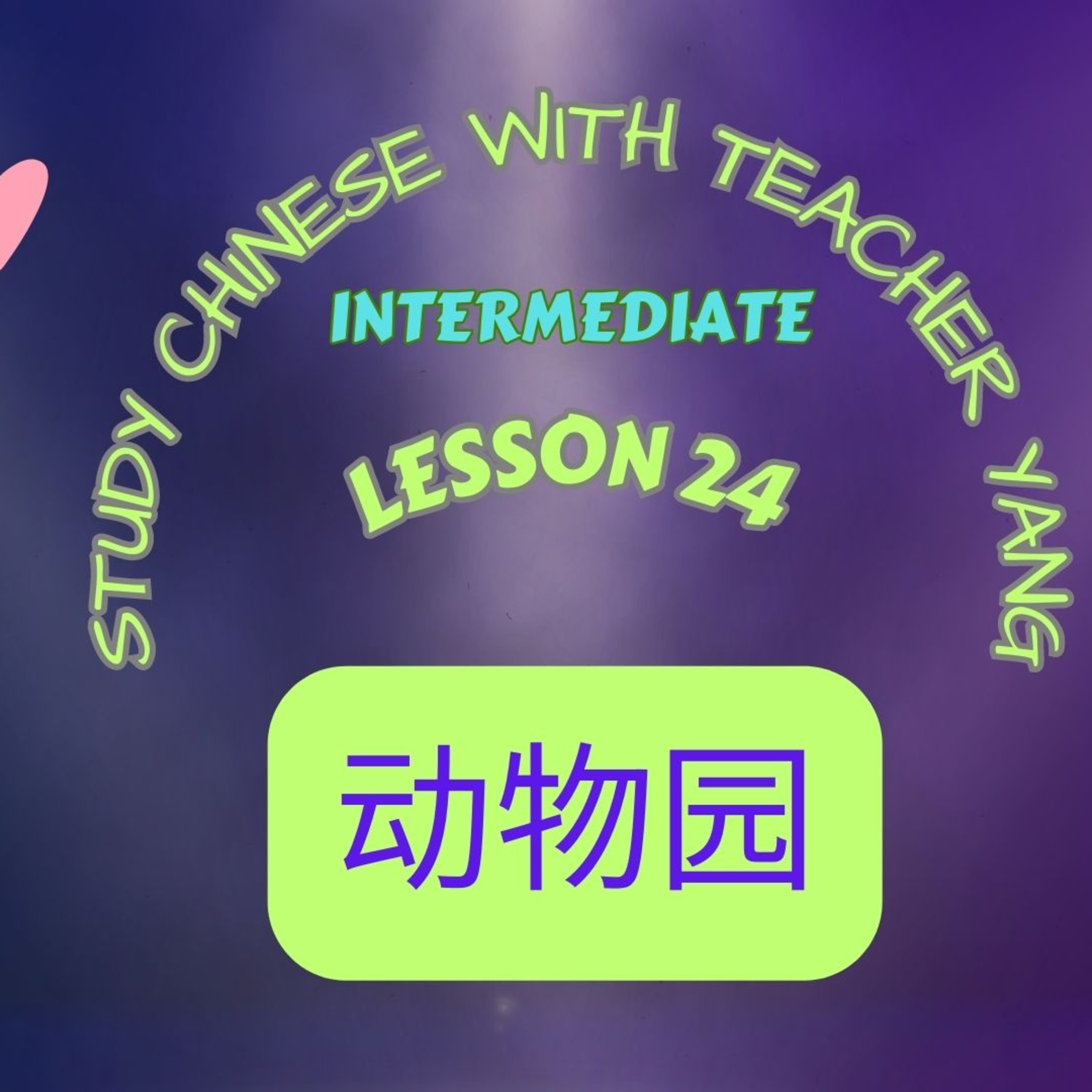 Ep.245 Intermediate Lesson 24 动物园 dòngwùyuán (English version) episode artwork